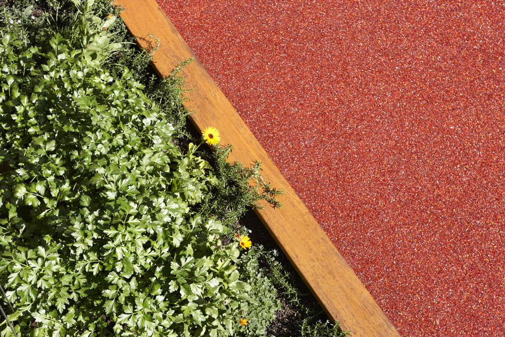 greenroof2.jpeg
