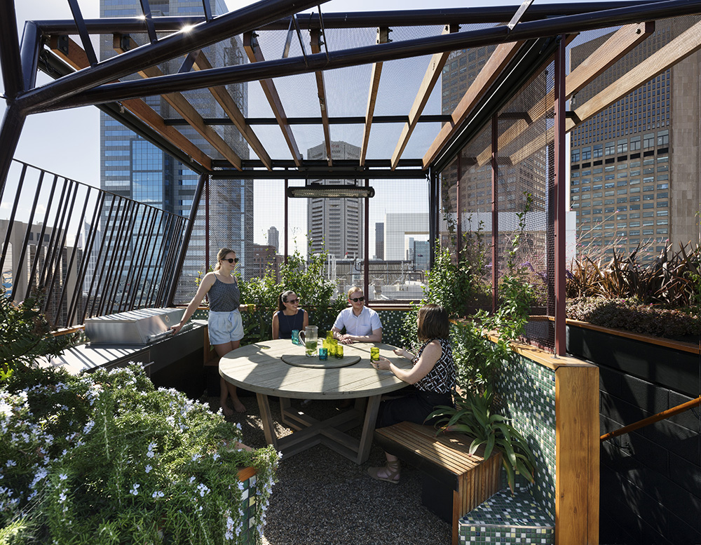 Why We Design Rooftop Gardens Not Just Green Roofs Articles Bent Architecture
