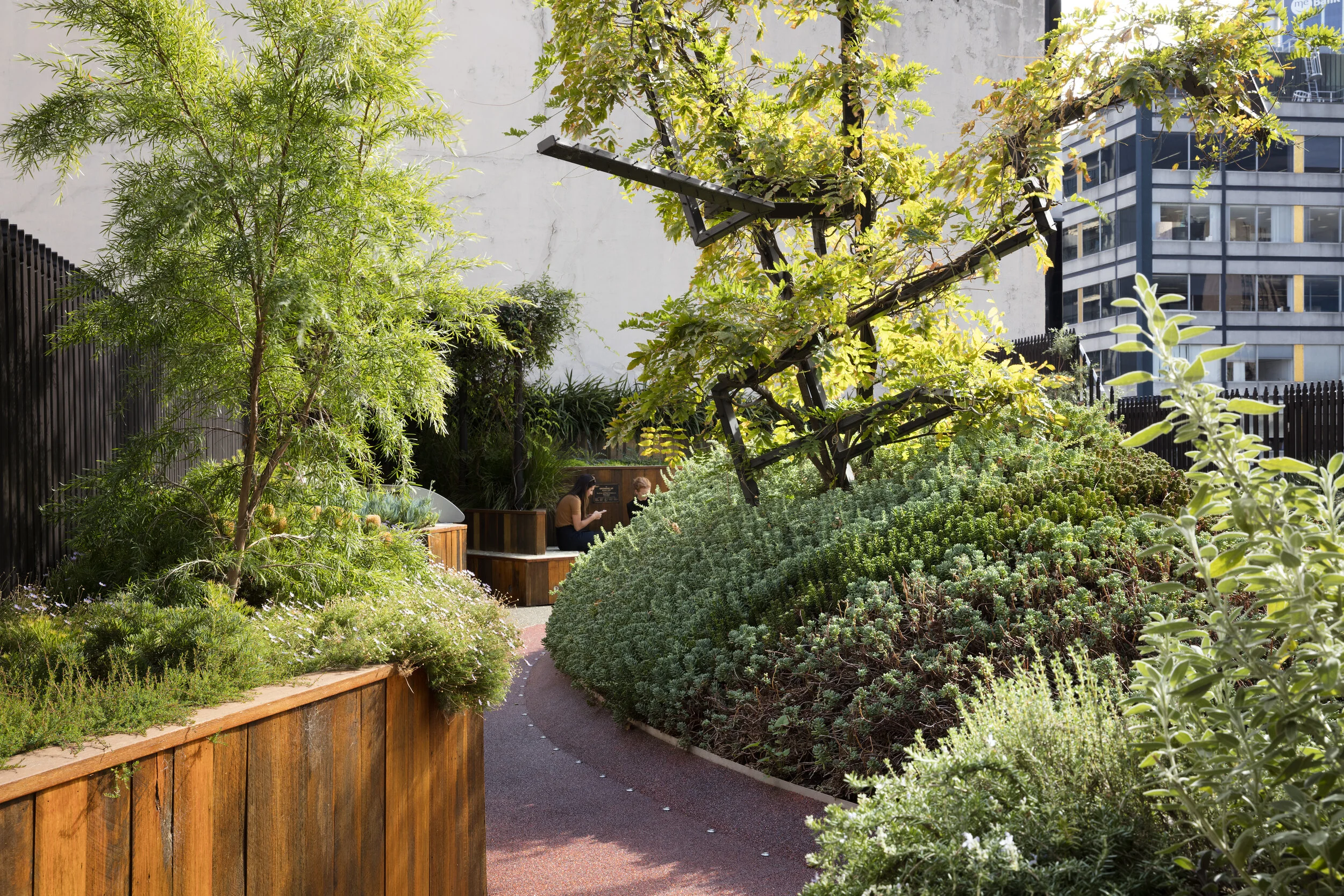 Why We Design Rooftop Gardens Not Just Green Roofs Articles Bent Architecture