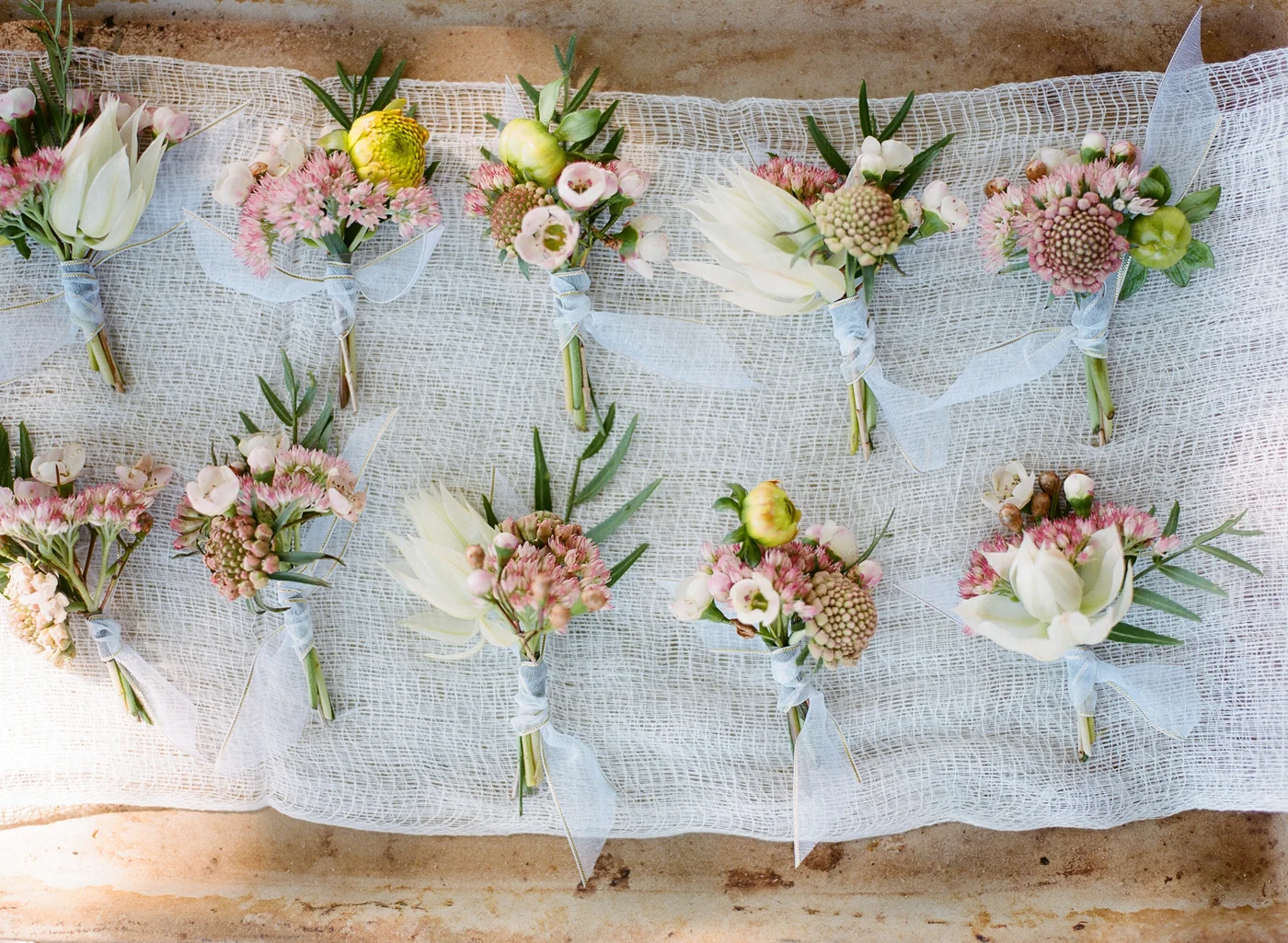 Christina McNeill