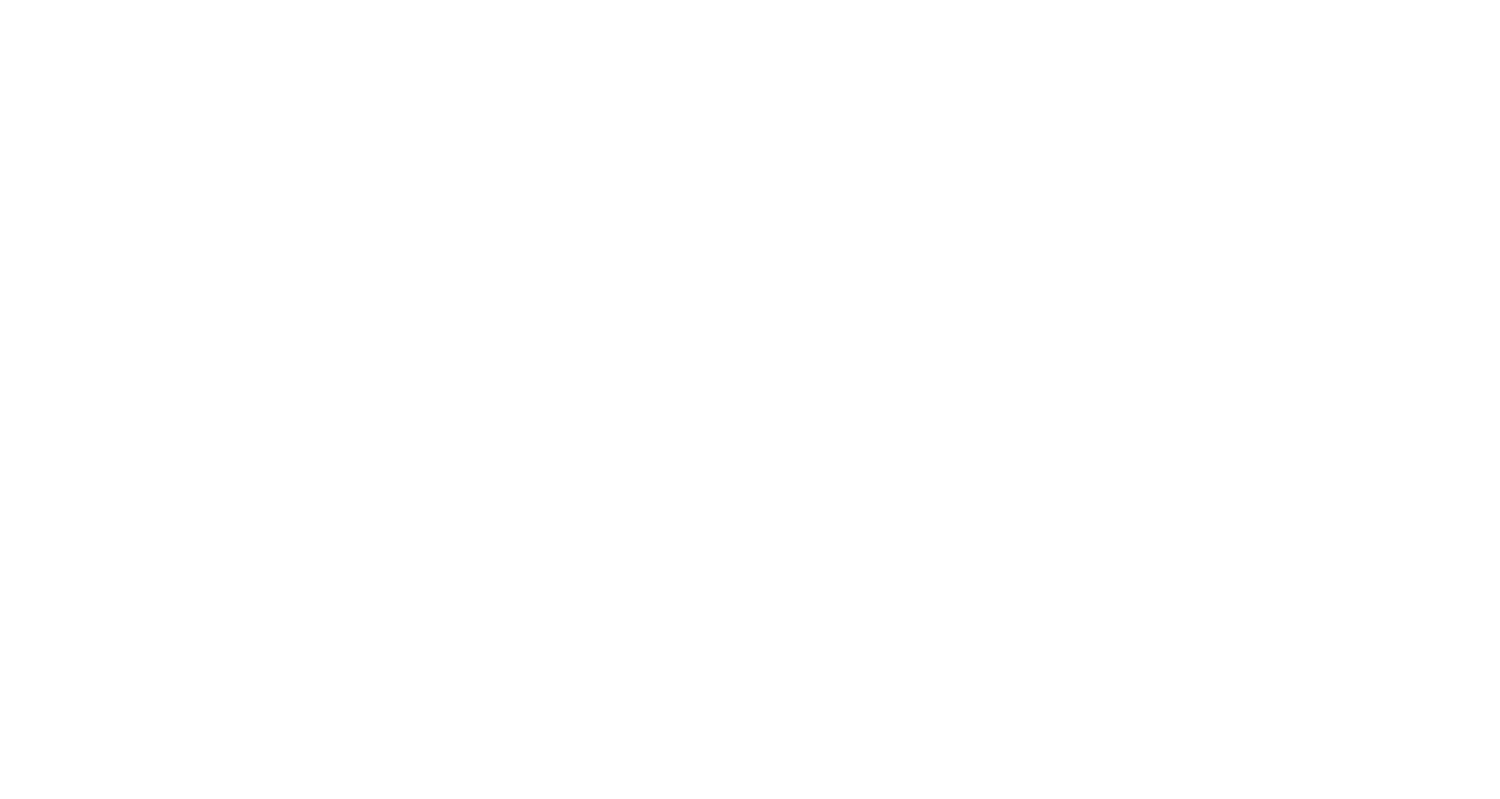 Top Flight Detailing