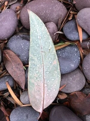 How can mindful art heal your soul NOW?