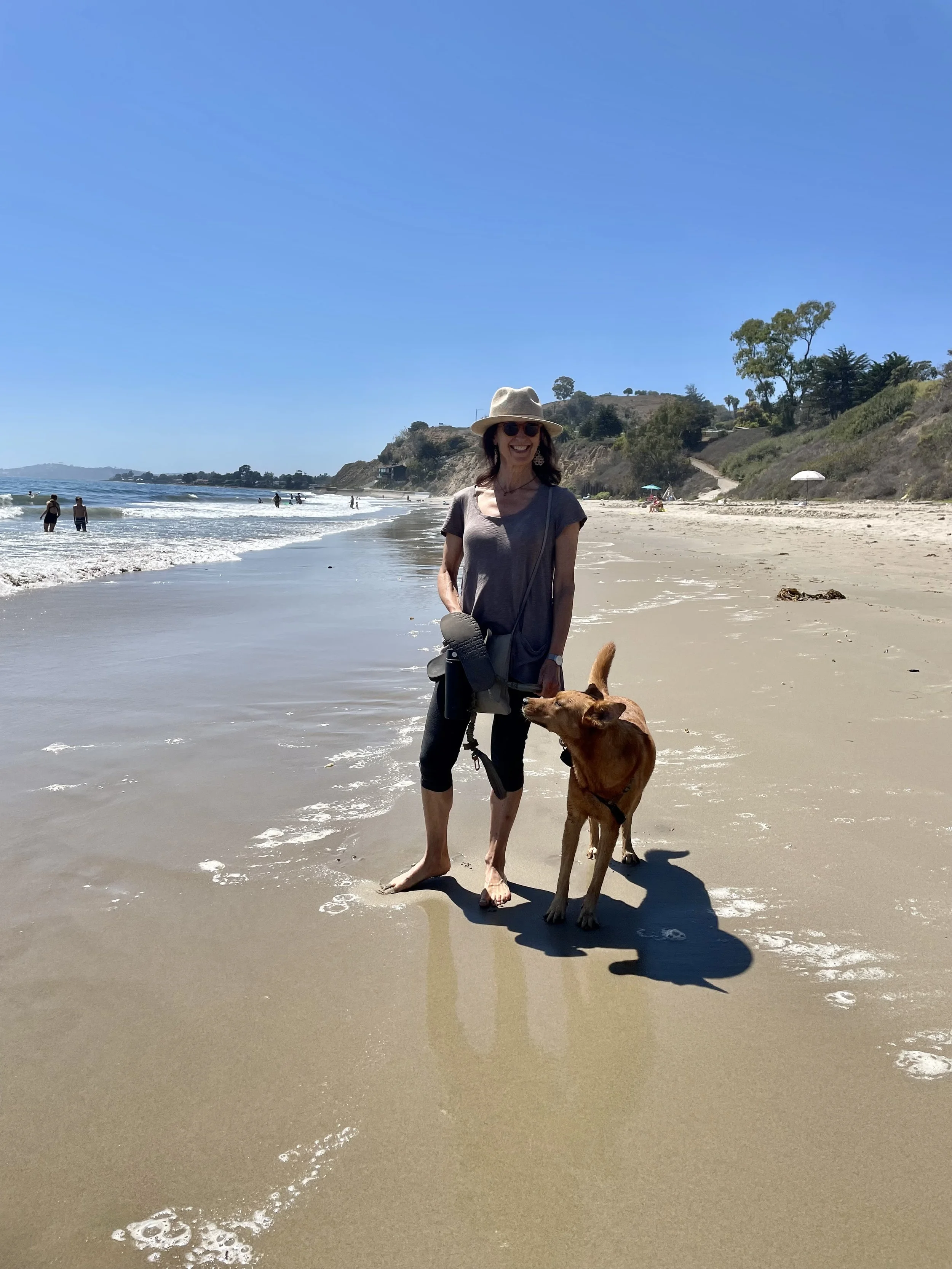Free Online Community Gathering: Meditate &amp; Create 