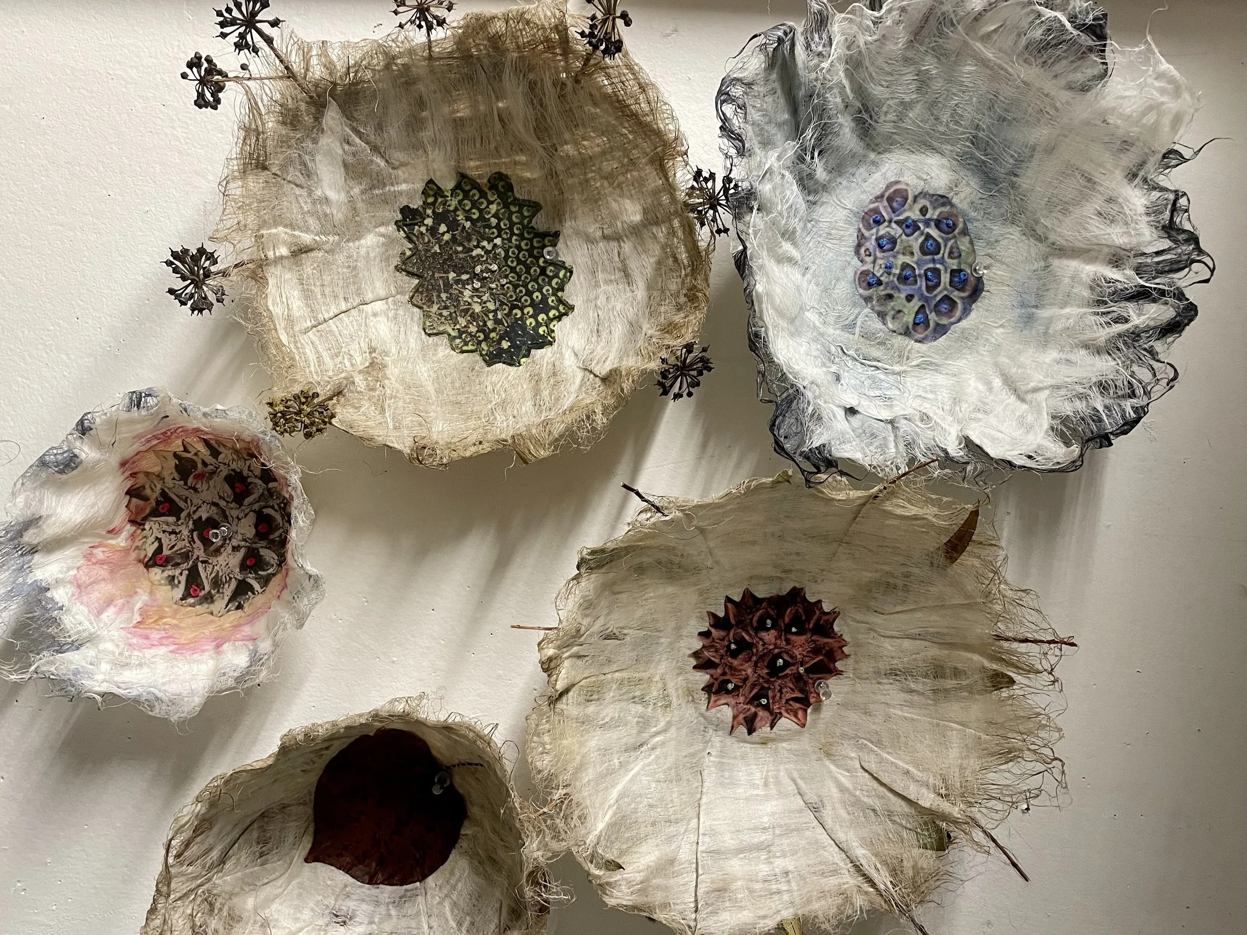 The Seeds of Creativity