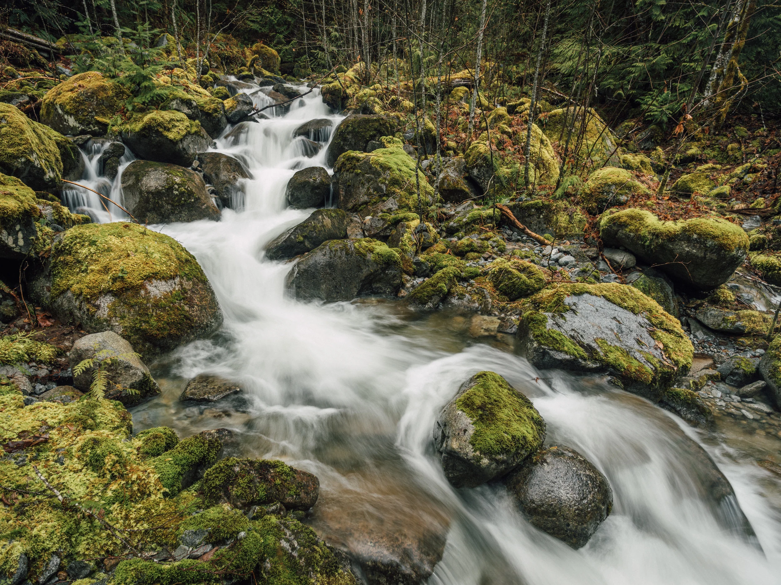 PNW_WaterfallCreek.jpg