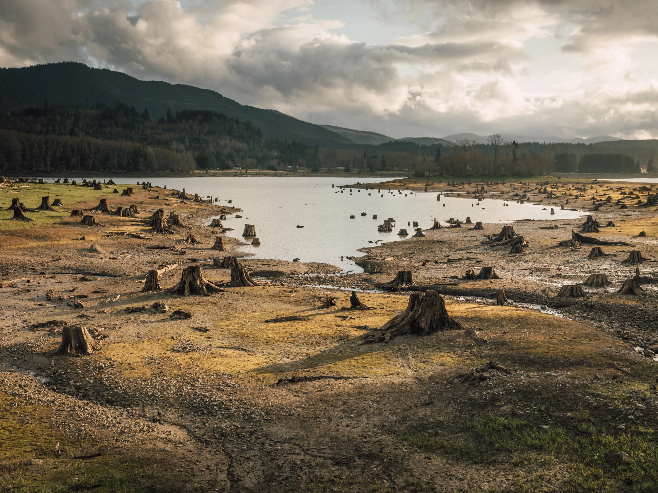 PNW_AlderLake.jpg