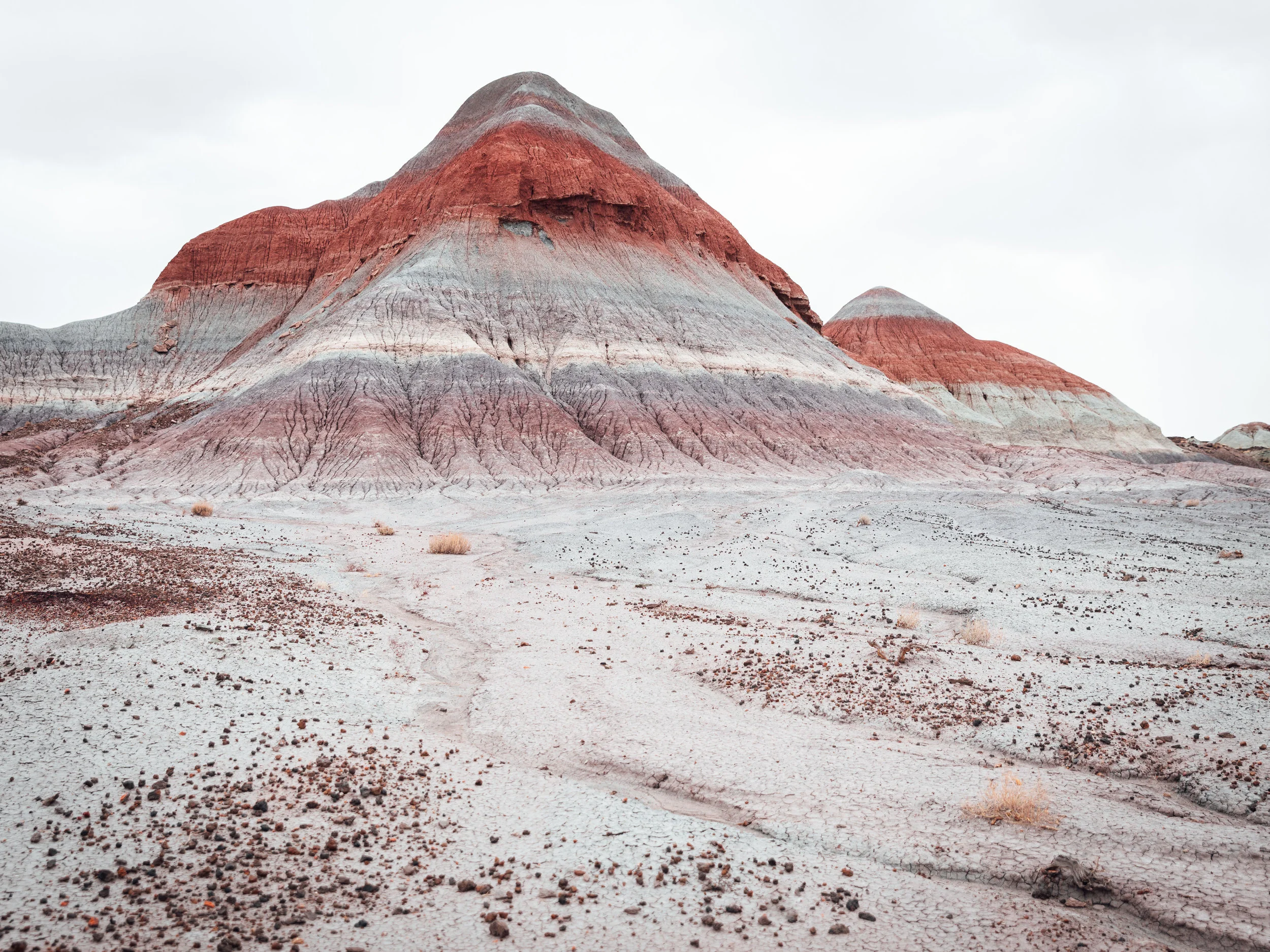 PetrifiedForest_1.jpg