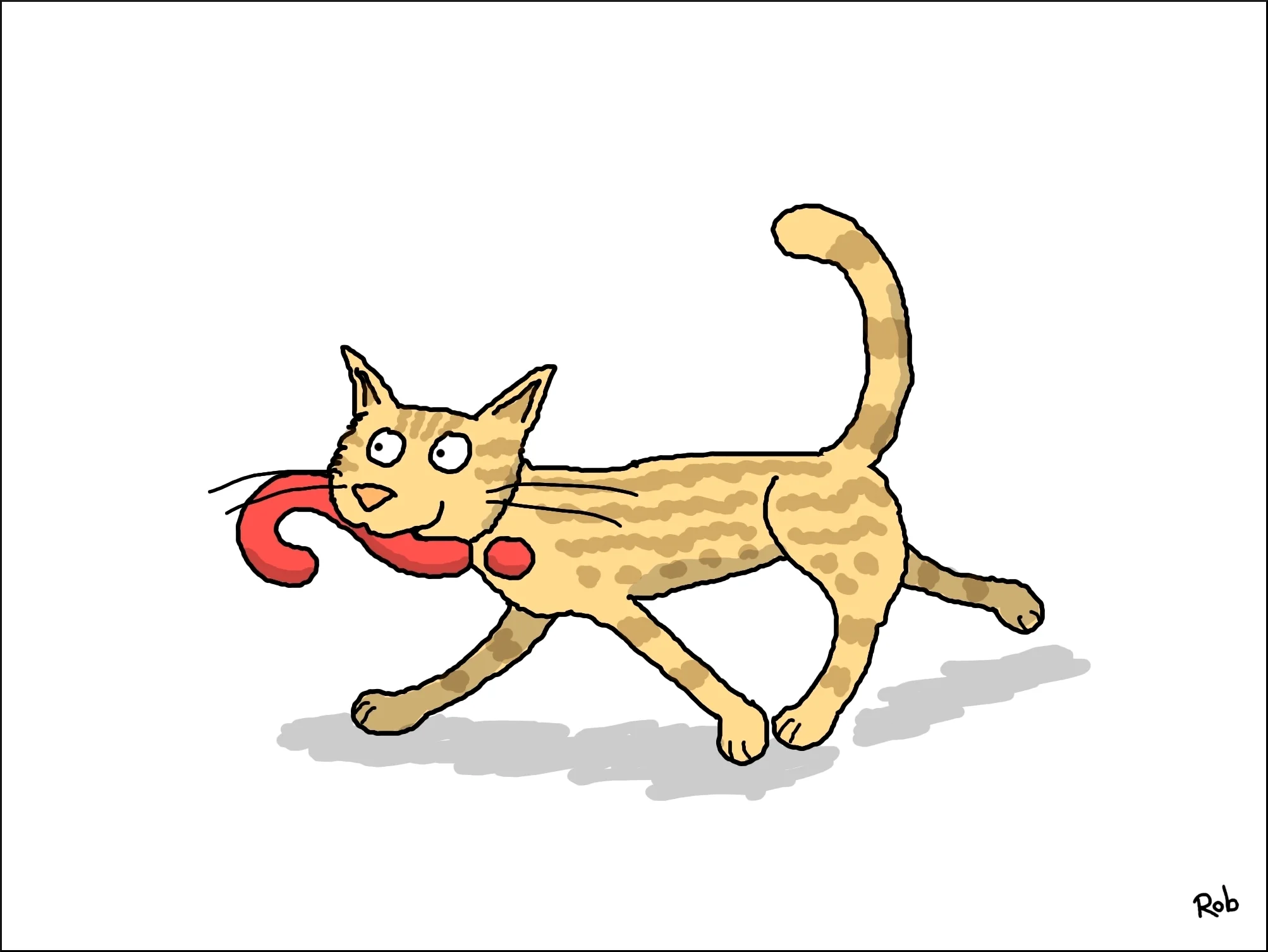 cats-question-2000-border-3.jpg