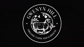 Gwenyn Hill Farm - Winter