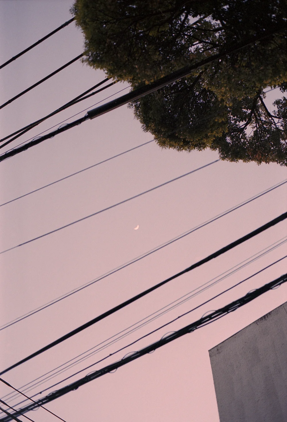 Tokyo_0014.jpg
