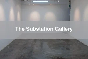 No Excess Sugar: Interview with artist Hilary Schwartz October-December 2014 I'm excited to be included in Issue, The Substation's quarterly publication! You can check it out here .