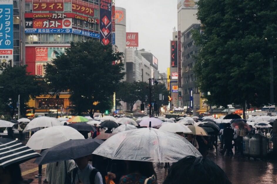 Tokyo, Japan - Research Trip September 2016 Typhoons can’t stop research. Delay maybe, but not stop. 