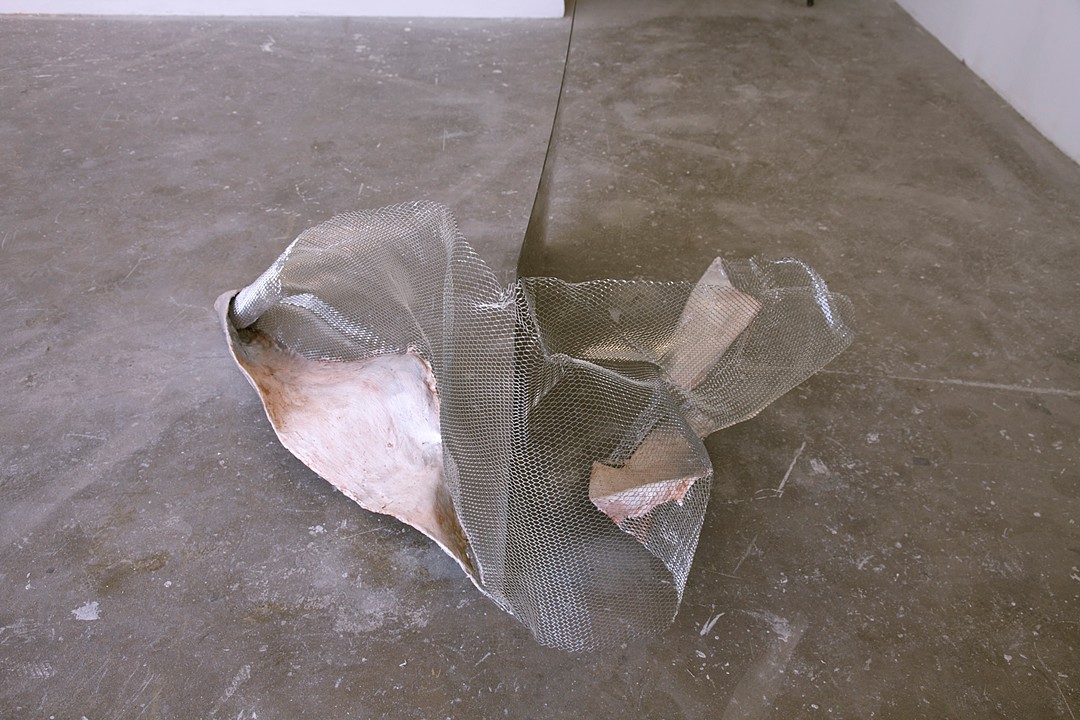 "UNTITLED", plaster, watercolor, mesh and plexiglass, 2013