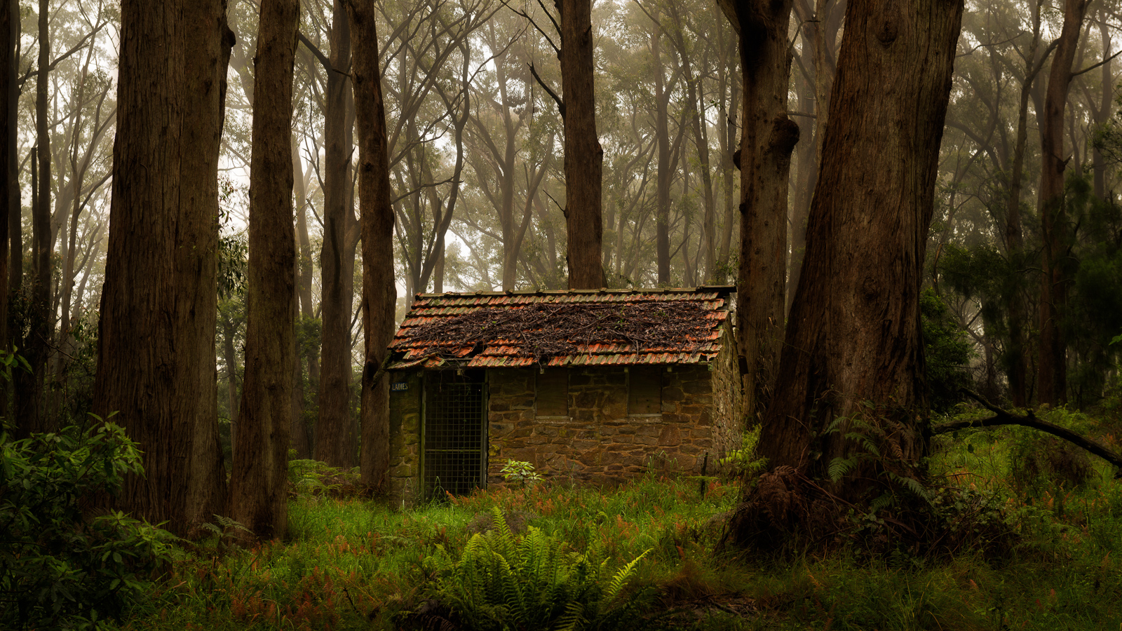 Mt Gibraltar Hut - Bowral NSW