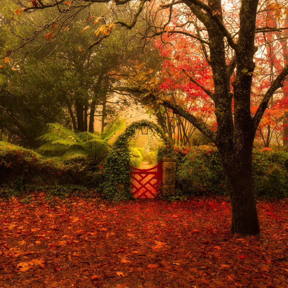 Mount Wilson