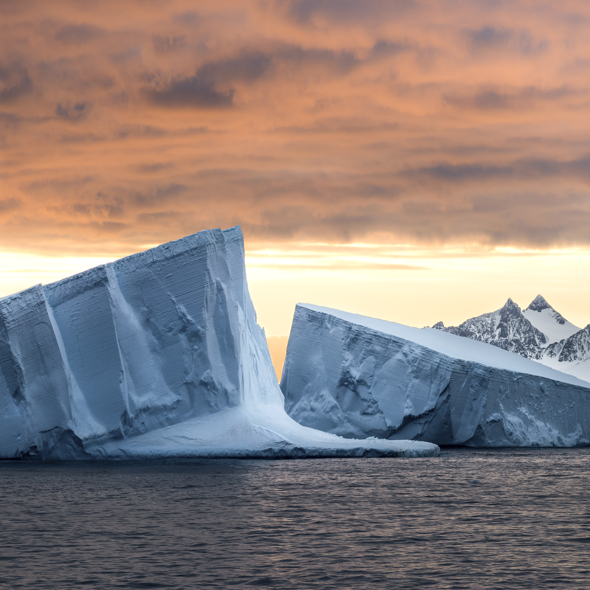Giant tabular icebergs at sunrise.