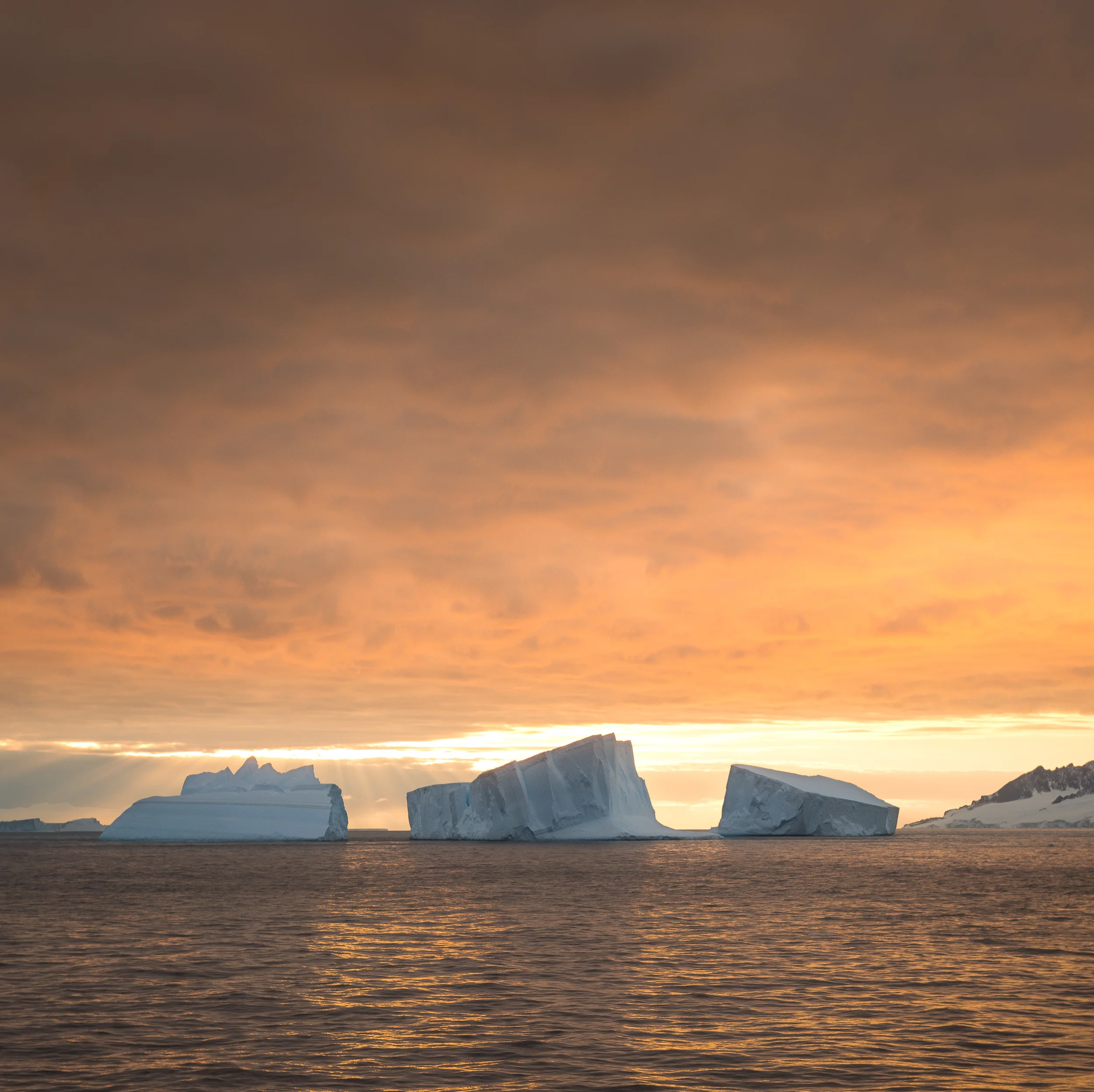 Icebergs at Sunrise 2