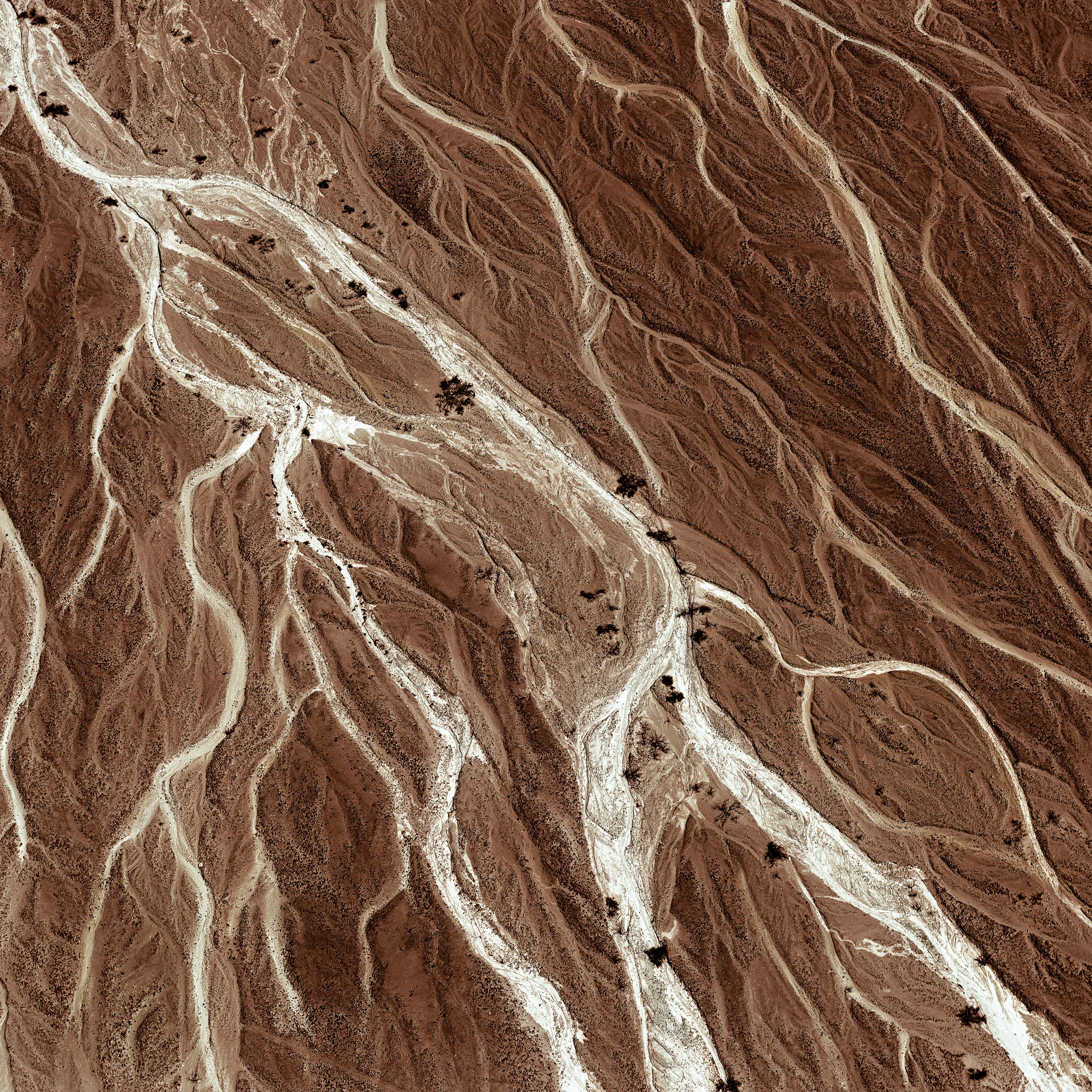 Nazca River Bed