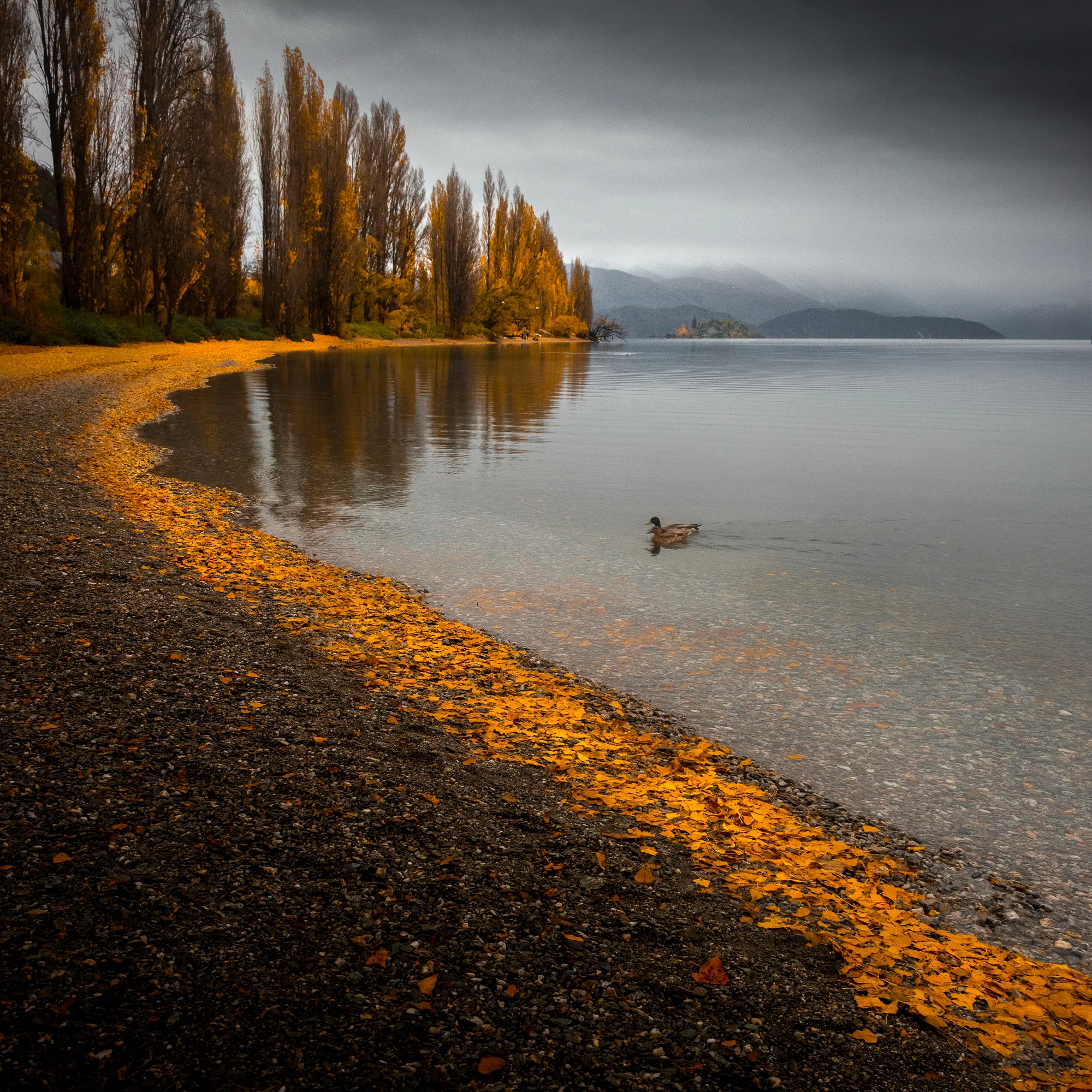 Lake Wanaka