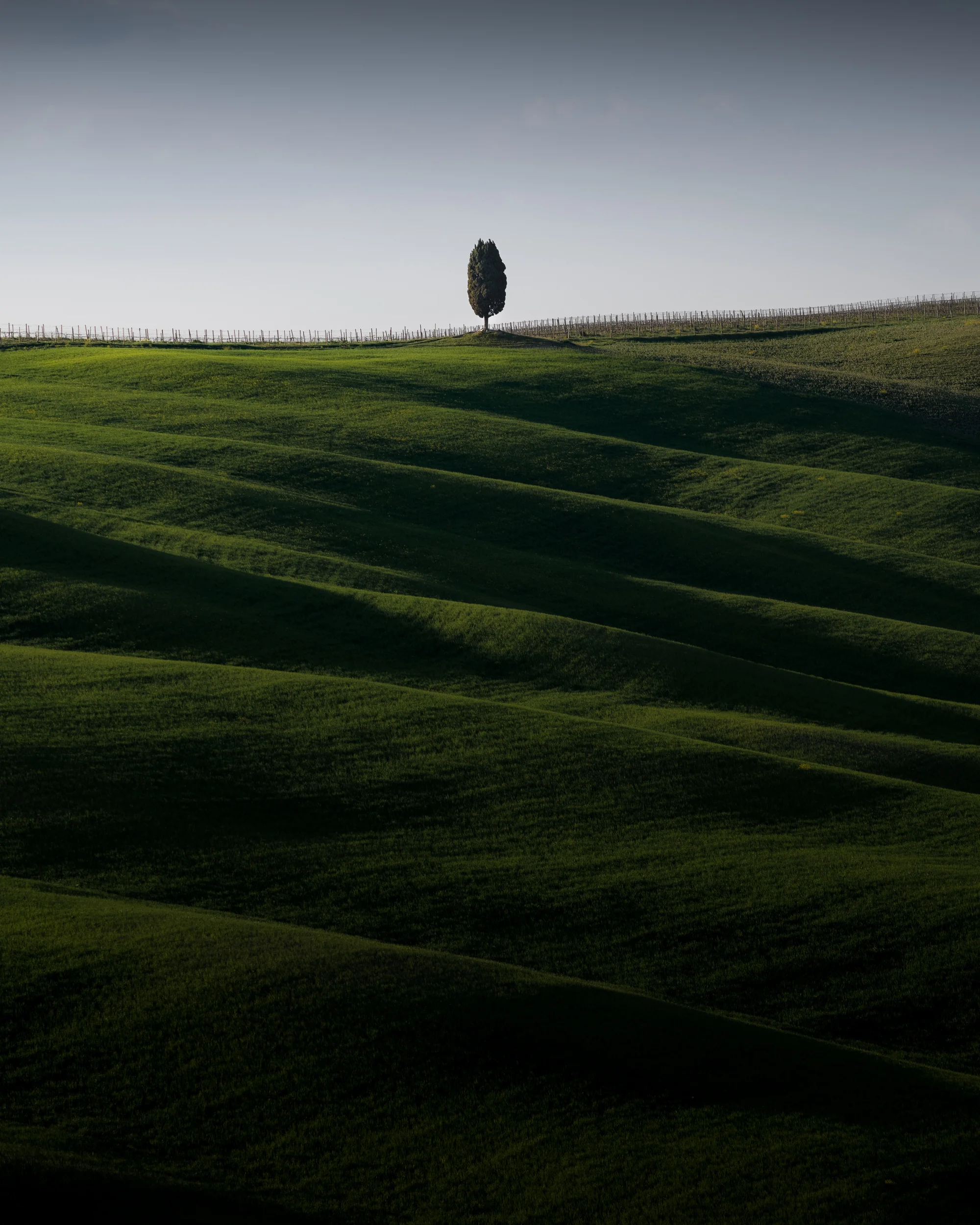 Solitary