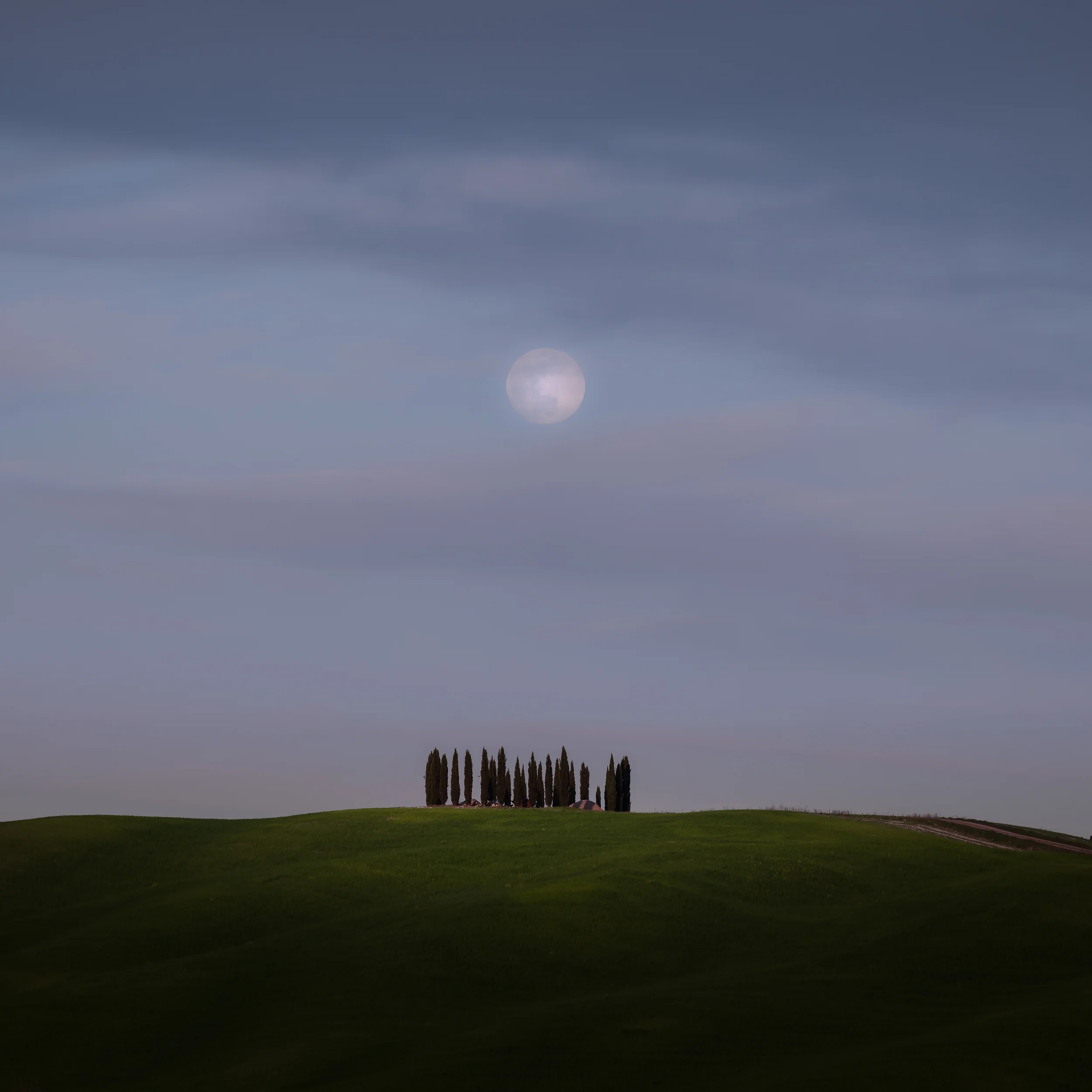 Full Moon Over Cypress Grove