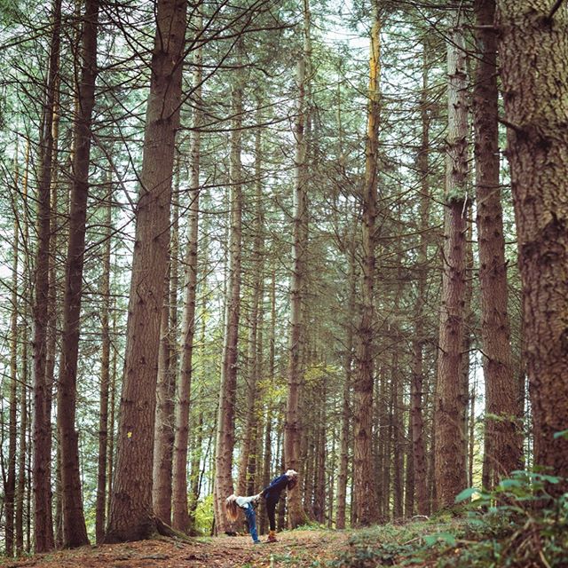 Getting out in amongst the trees and observing the trees, taking time to listen to the trees and working with tree mythology. 
Some gentle yoga poses. .
Relaxing, calming, improving mental clarity and getting supple at the same time. .
Tree Yoga with