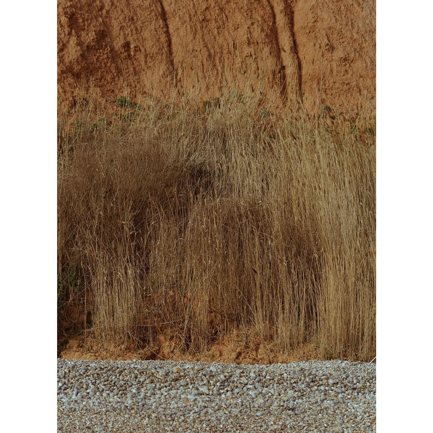 On set last week in soft sun sidmouth with rampant reeds. 
With thanks to @sid_atkinson_ 

#locationshoot #eastdevon #stilllifephotography #fashionphotography