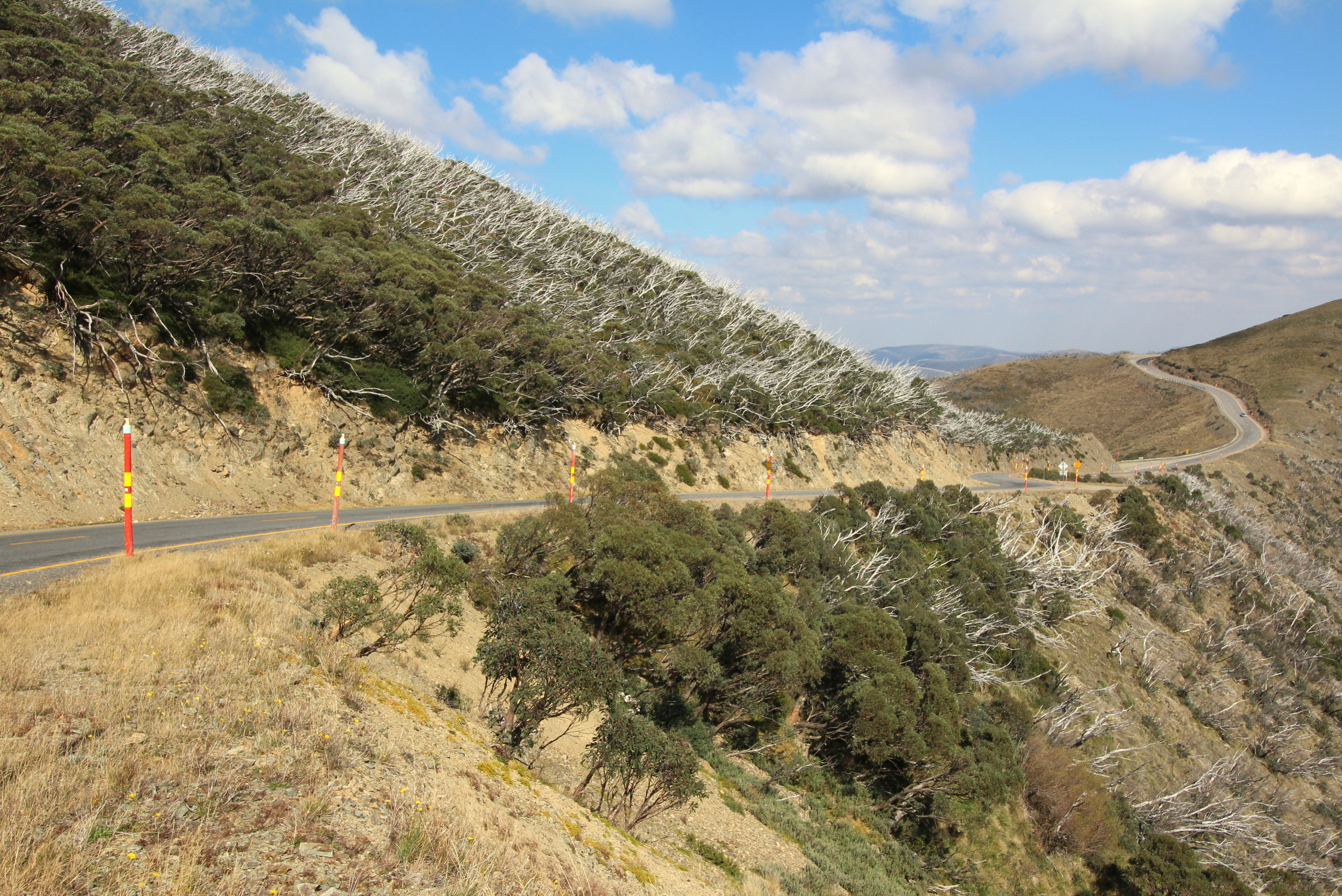 Blowhard on the Great Alpine Road