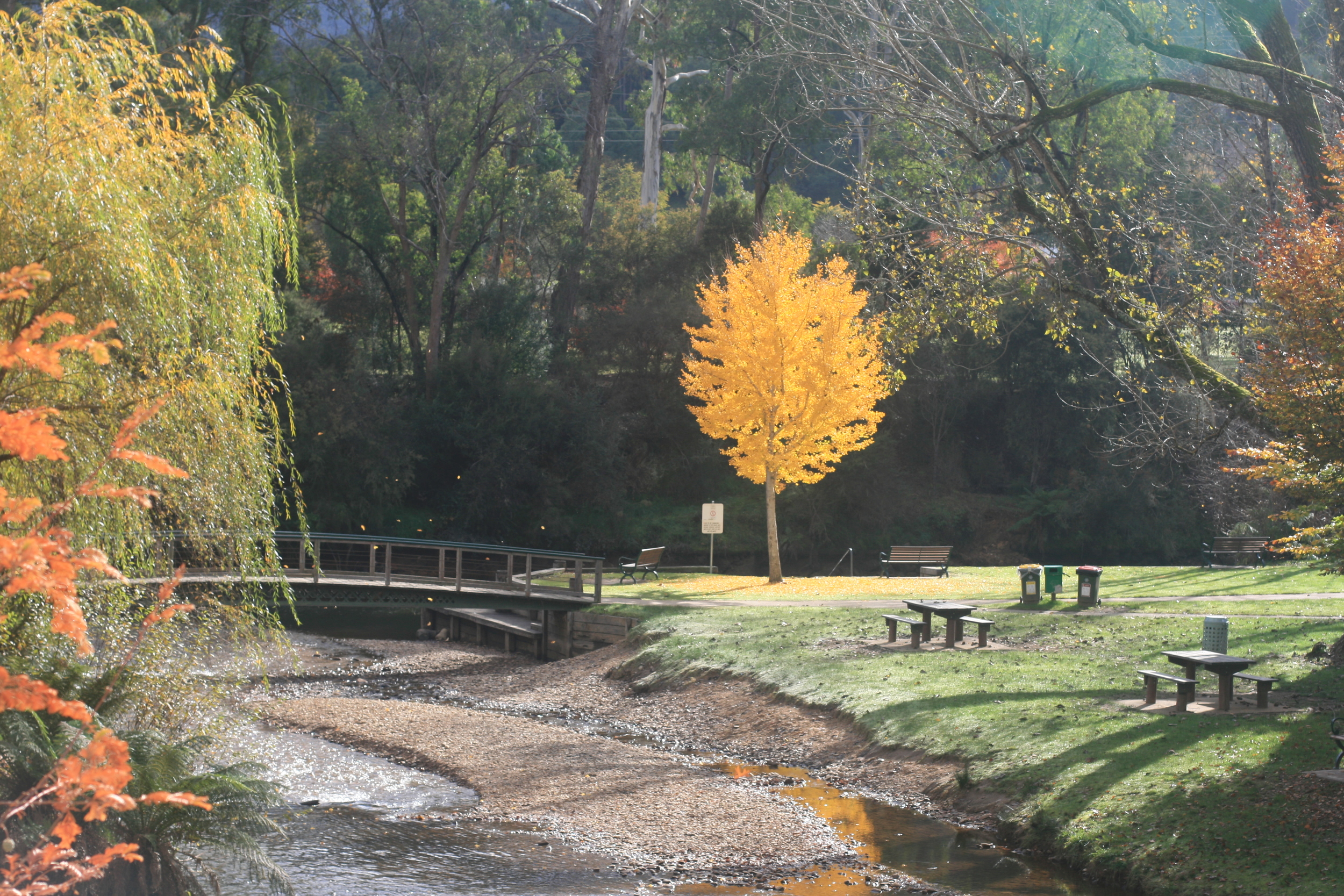 Centenary Park, Bright