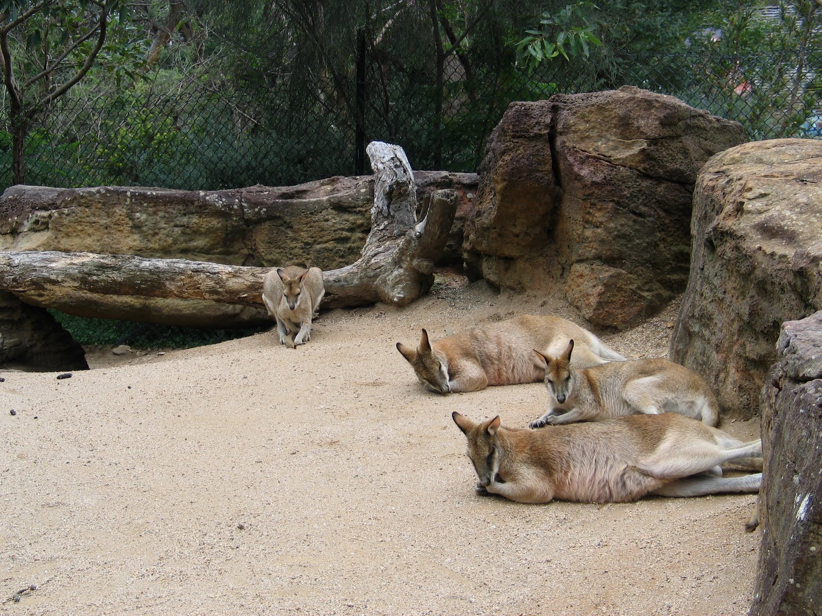 Picture 097.jpg