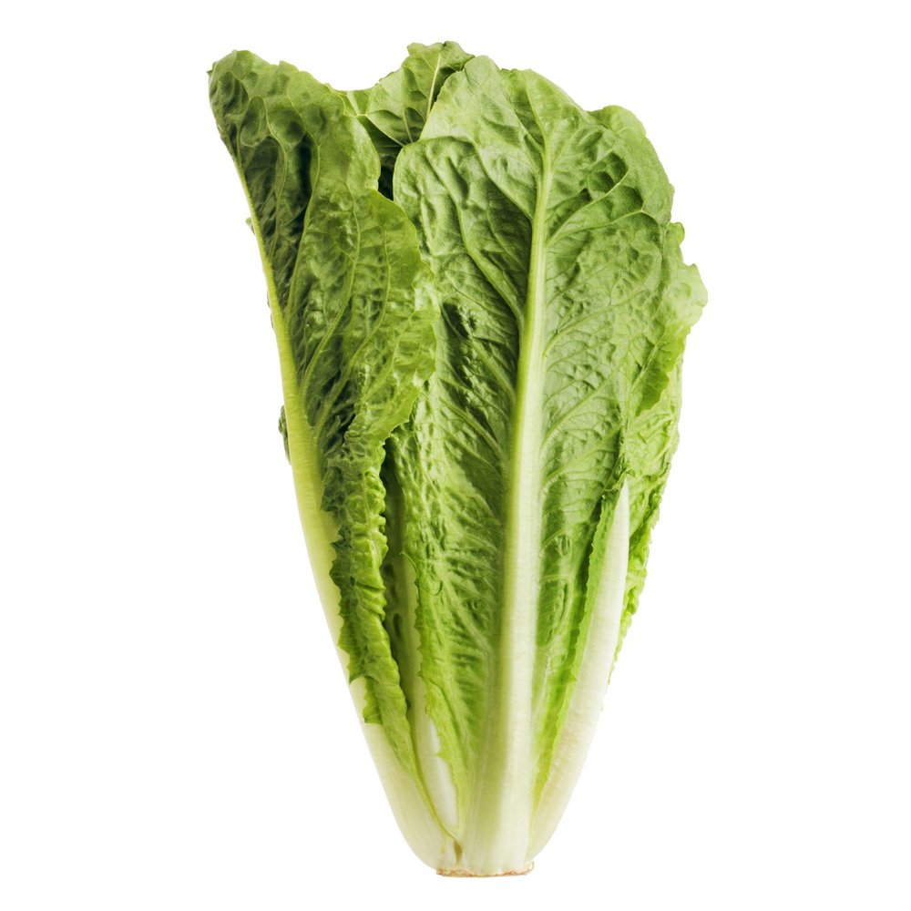 ROMAINE LETTUCE