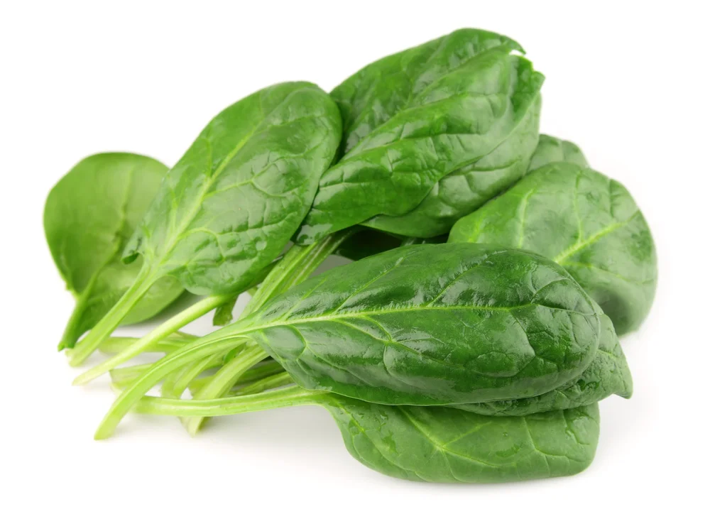 SPINACH
