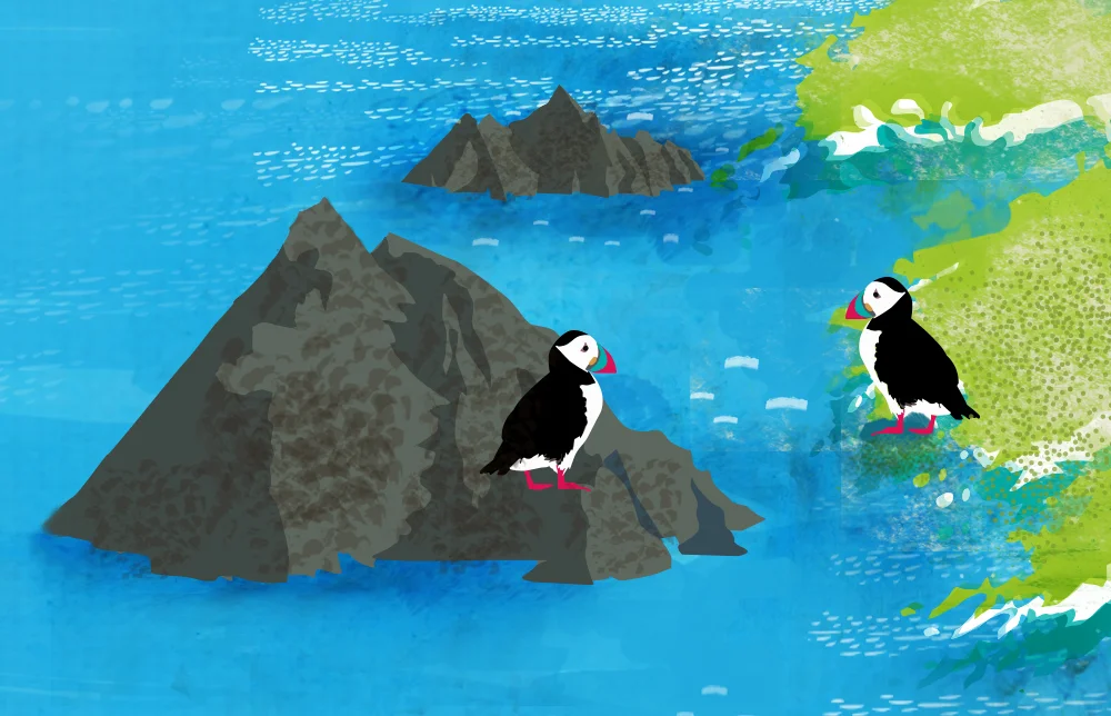 puffin-pals.jpg