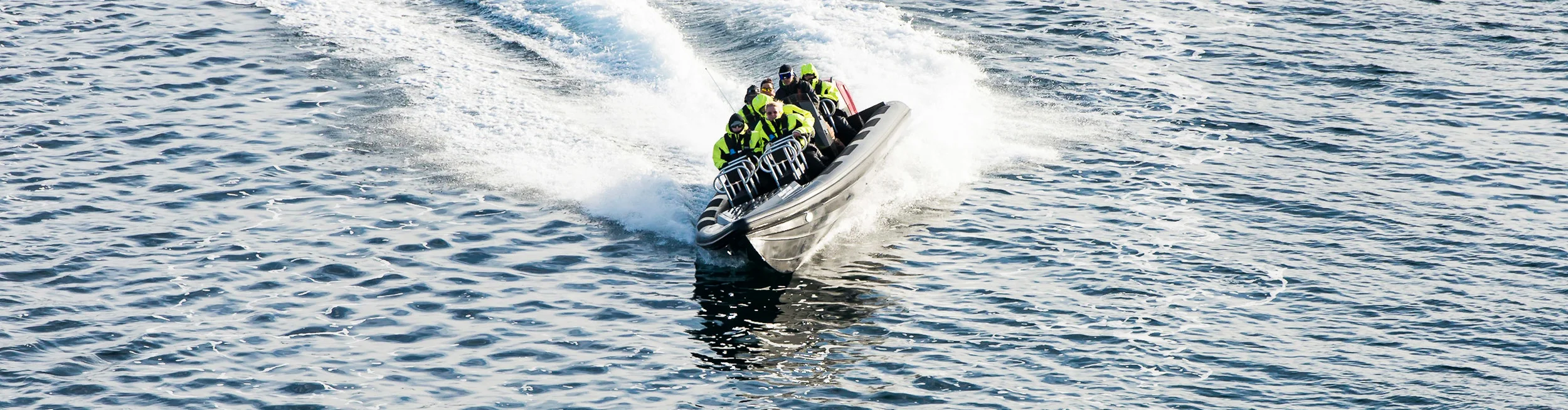 hhh-8000813.jpg