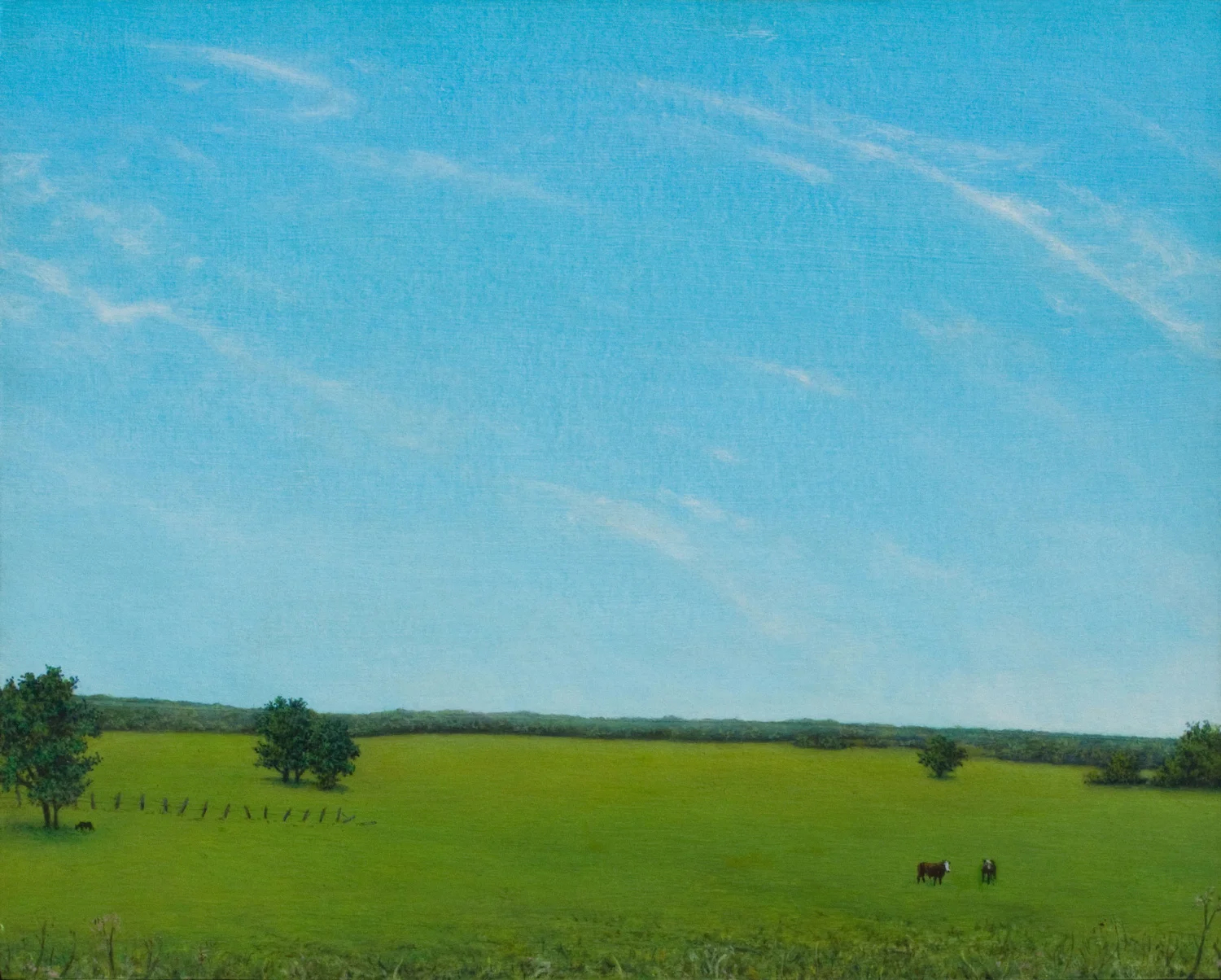  Cows 1234 - 8" x 10"&nbsp;  Acrylic  