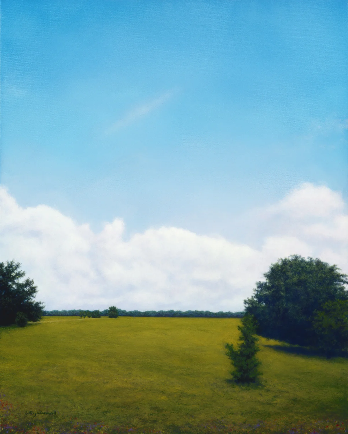  Homeland - 20" X 16"  Acrylic  