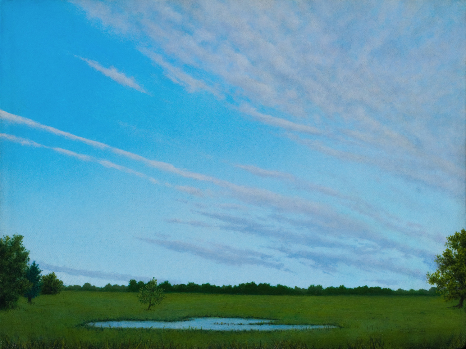  Pond - 9" x 12"  Acrylic  