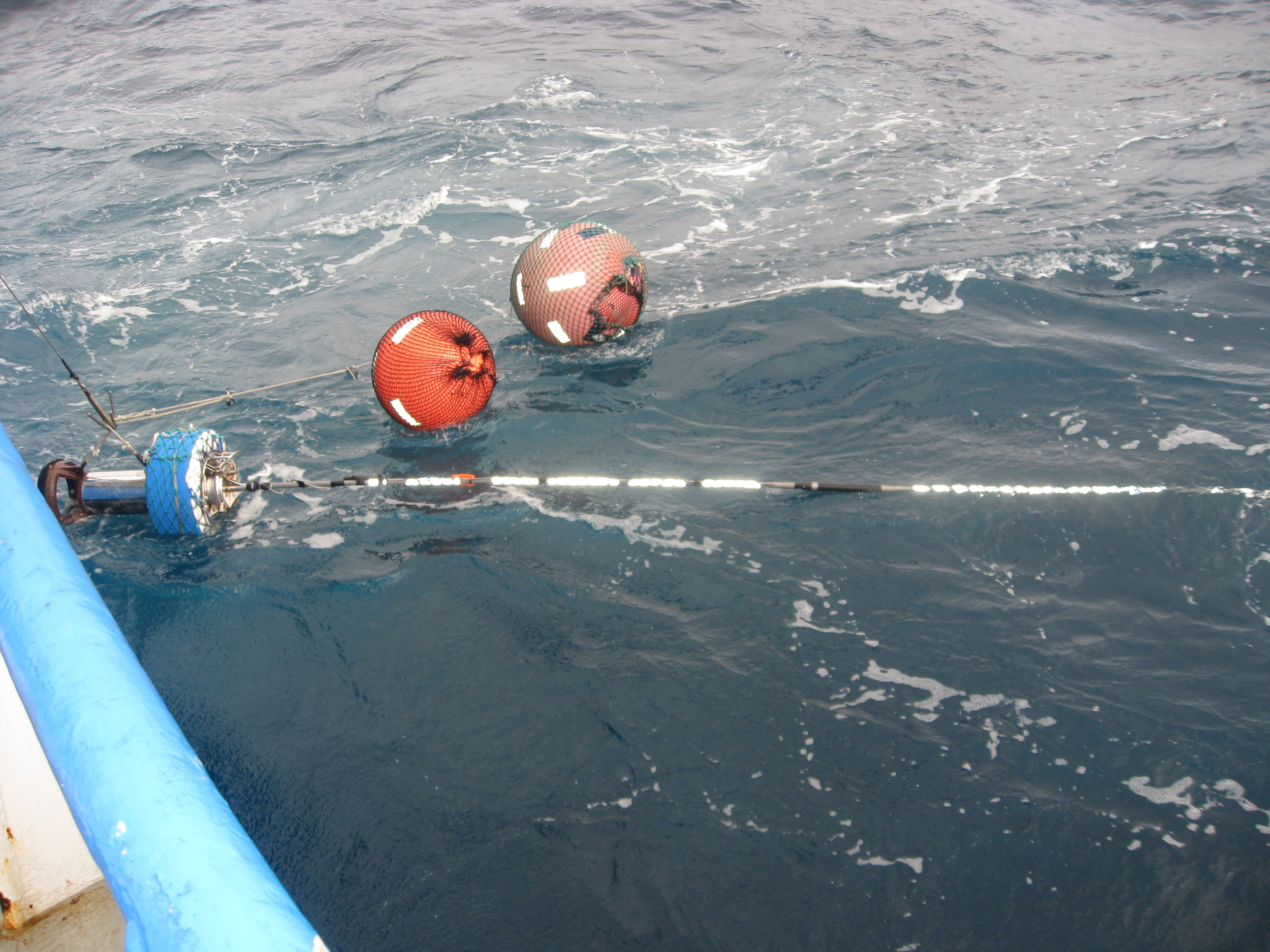 Buoys and radio beepers (used to find the longline gear for haulback)