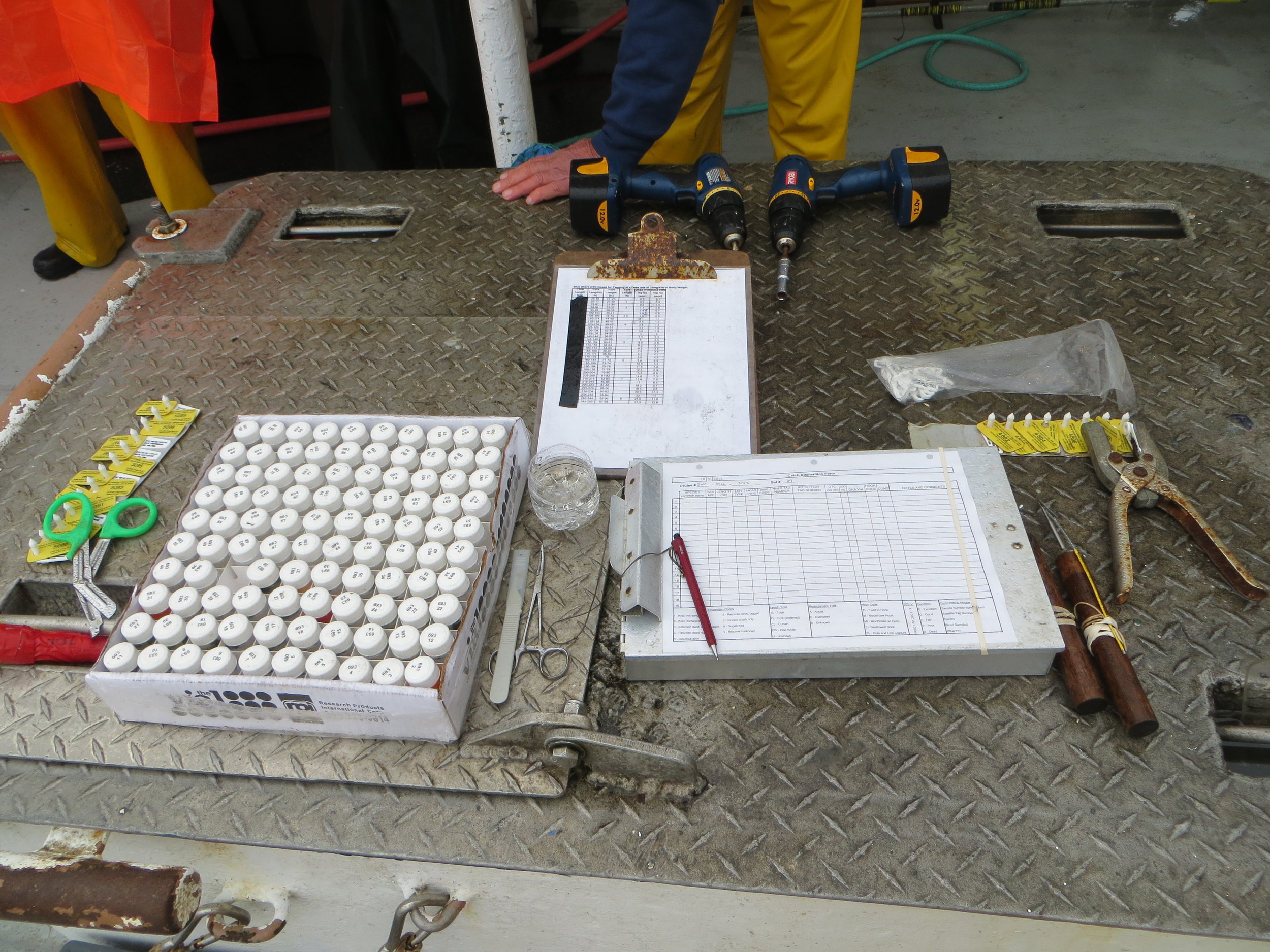 The set-up for haulback and sampling
