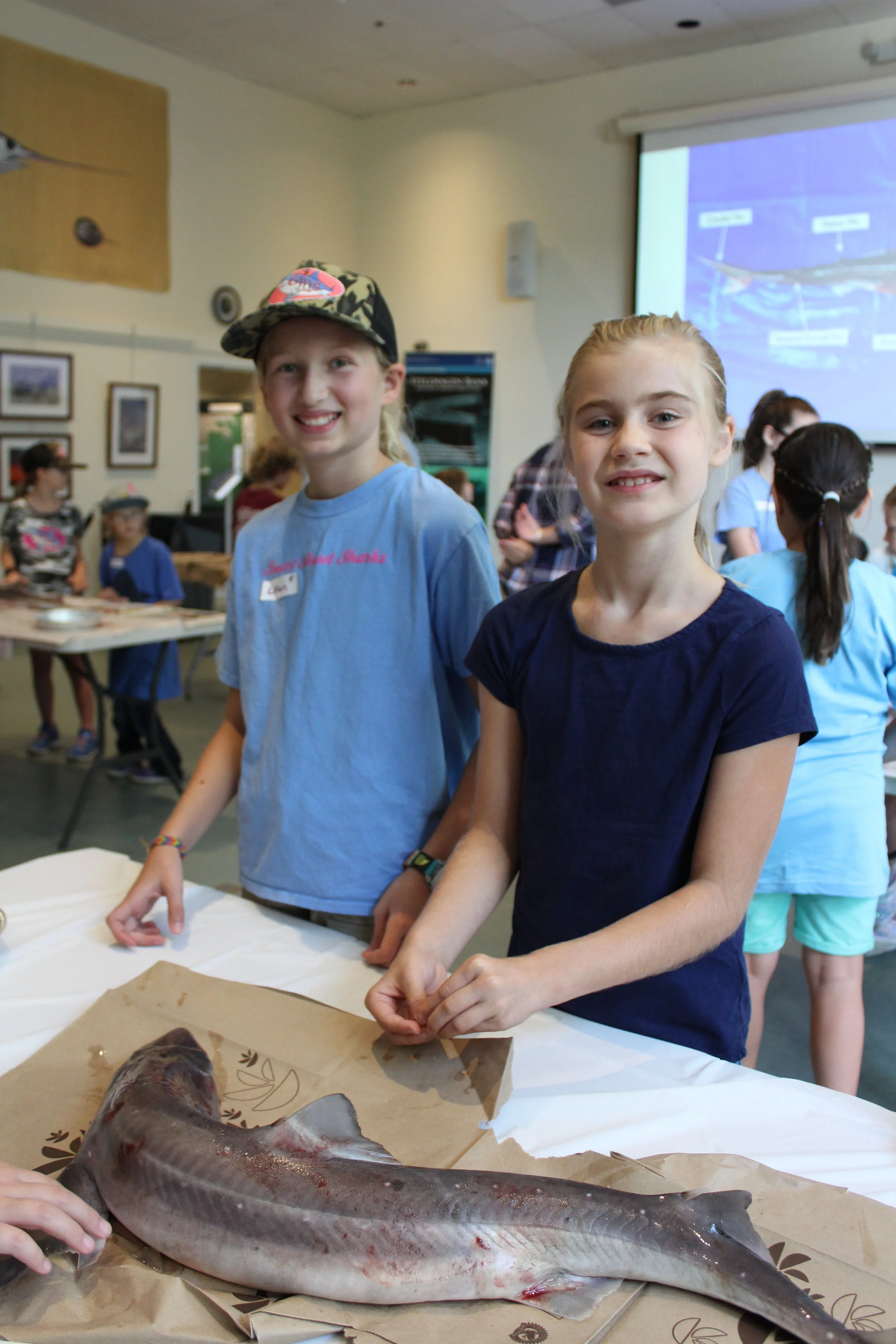 Gills Club at the Marine Biological Lab in Woods Hole, MA