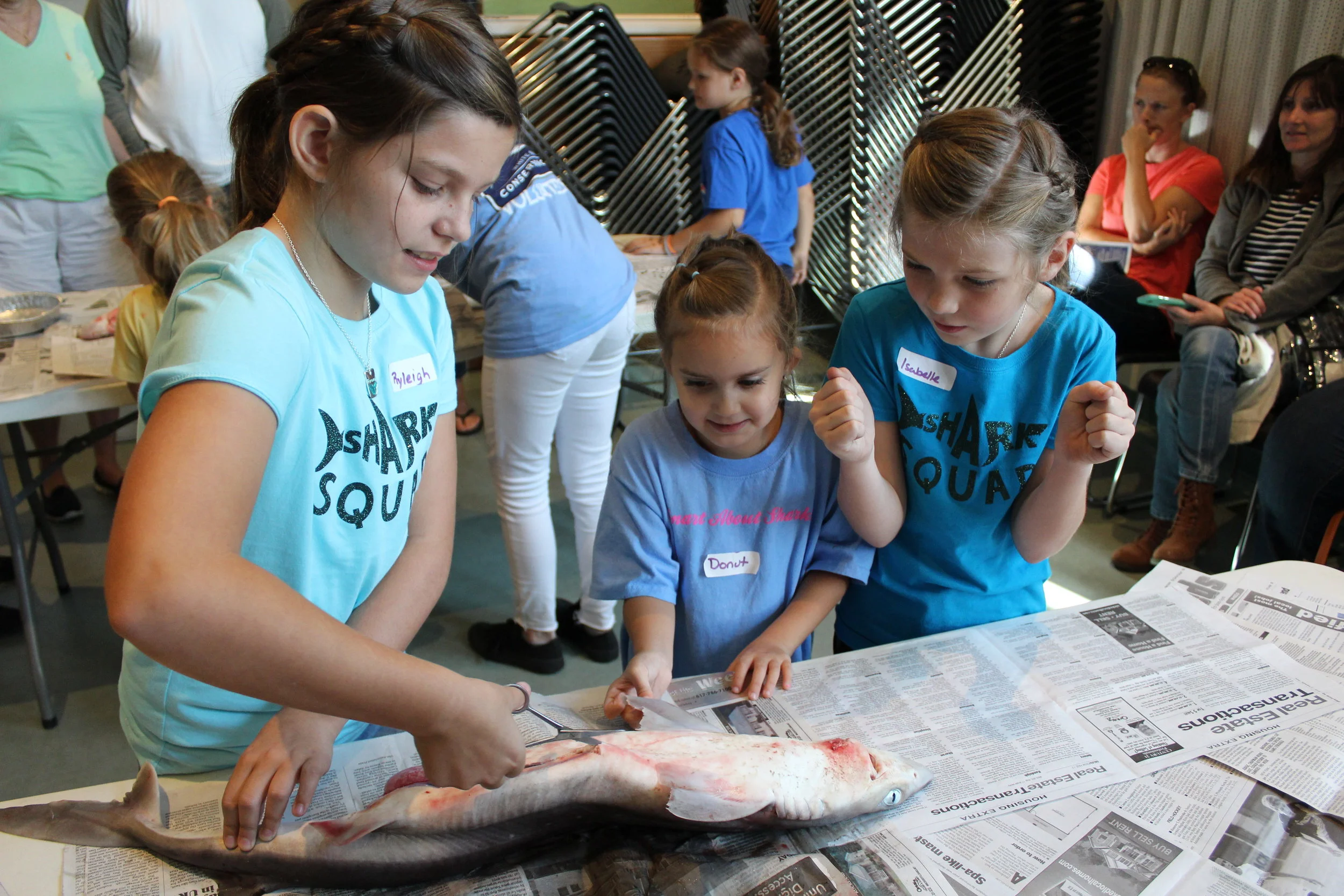 Gills Club at the Cape Cod Museum of Natural History