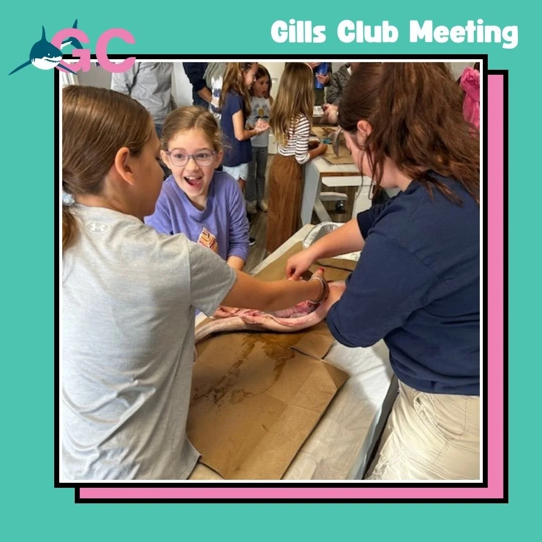 Cape Cod September Meeting