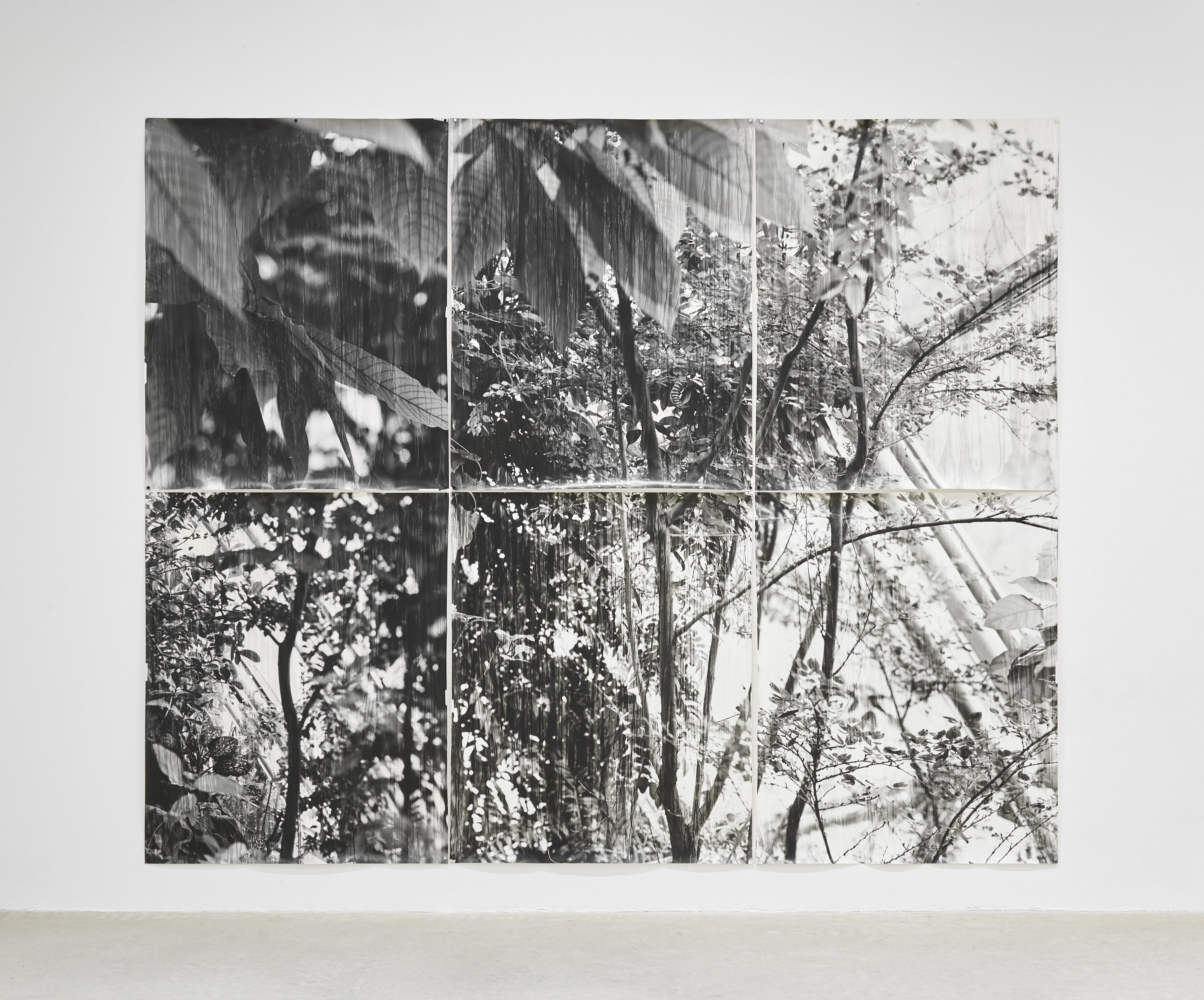  A Moment in the Sun  2019  6 unique fibre based silver gelatin prints  264.5 X 323.5 cm  1/1 