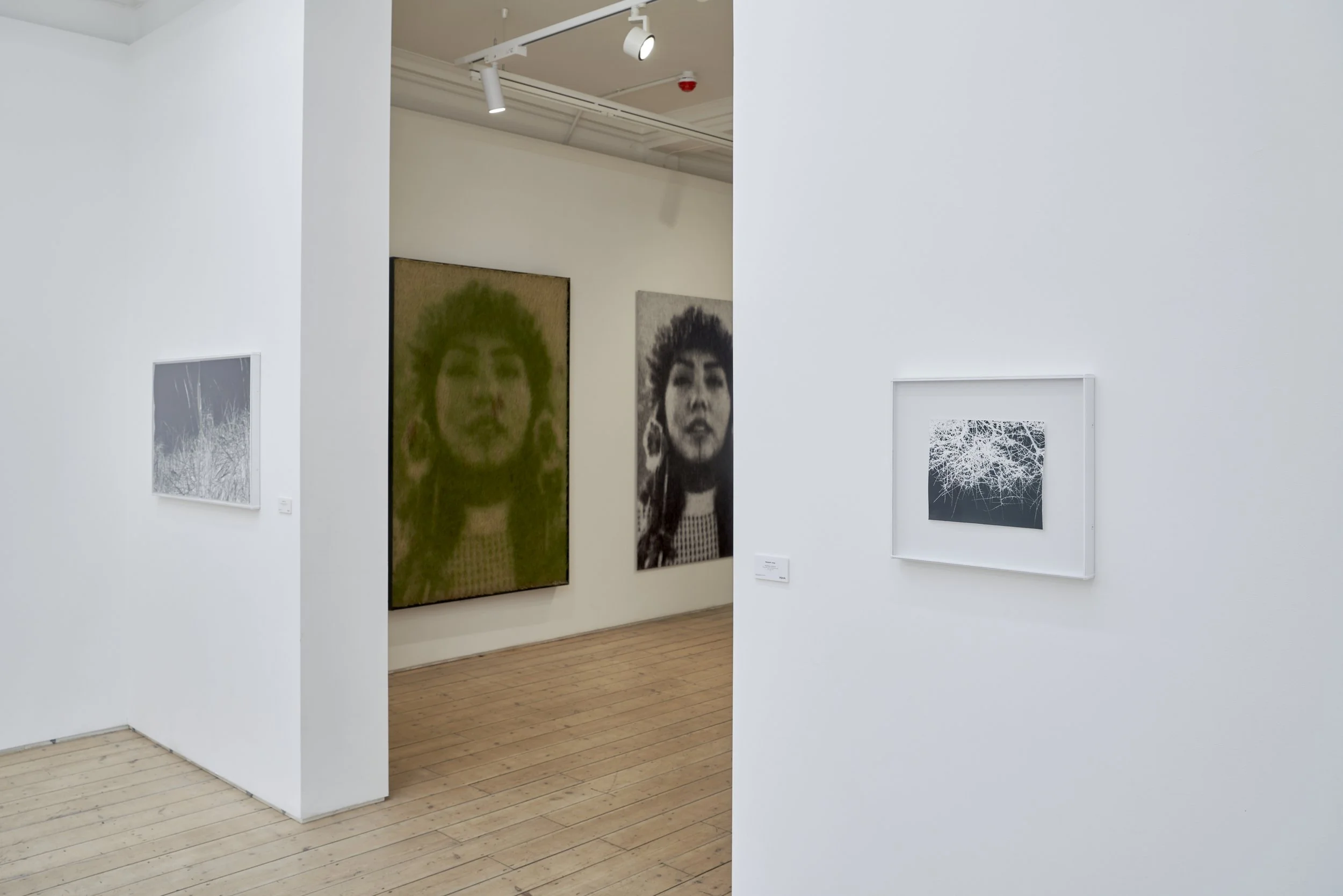  Botanicals, Vision Art Platform, London 2026; curated by Gary Sangster, with Ackroyd &amp; Harvey, Eamon O’Kane, Deirdre O’Mahony, Rosemary Laing, Wendy McMurdo 