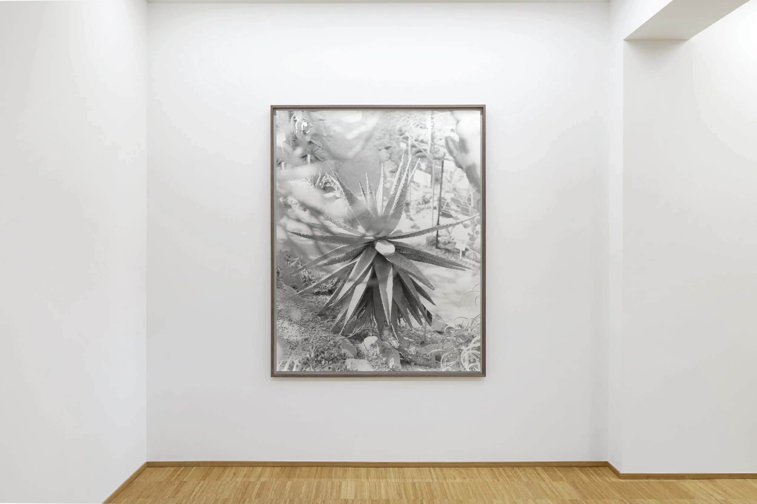   True Reality , Fondazione Elpis, Milan, 2026  Photo: Alto Piano Studio 