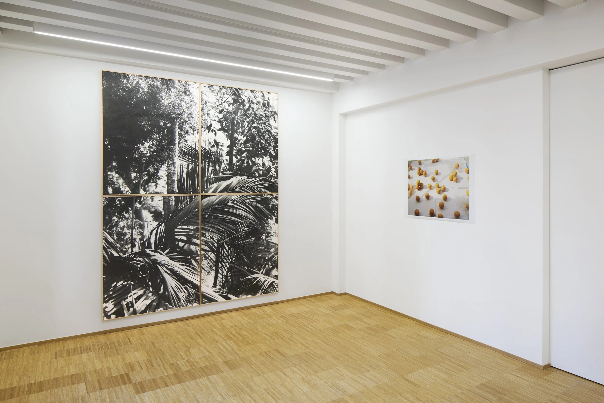   True Reality , Fondazione Elpis, Milan, 2026   (Right hand work by Stefano Graziani)  Photo: Alto Piano Studio 