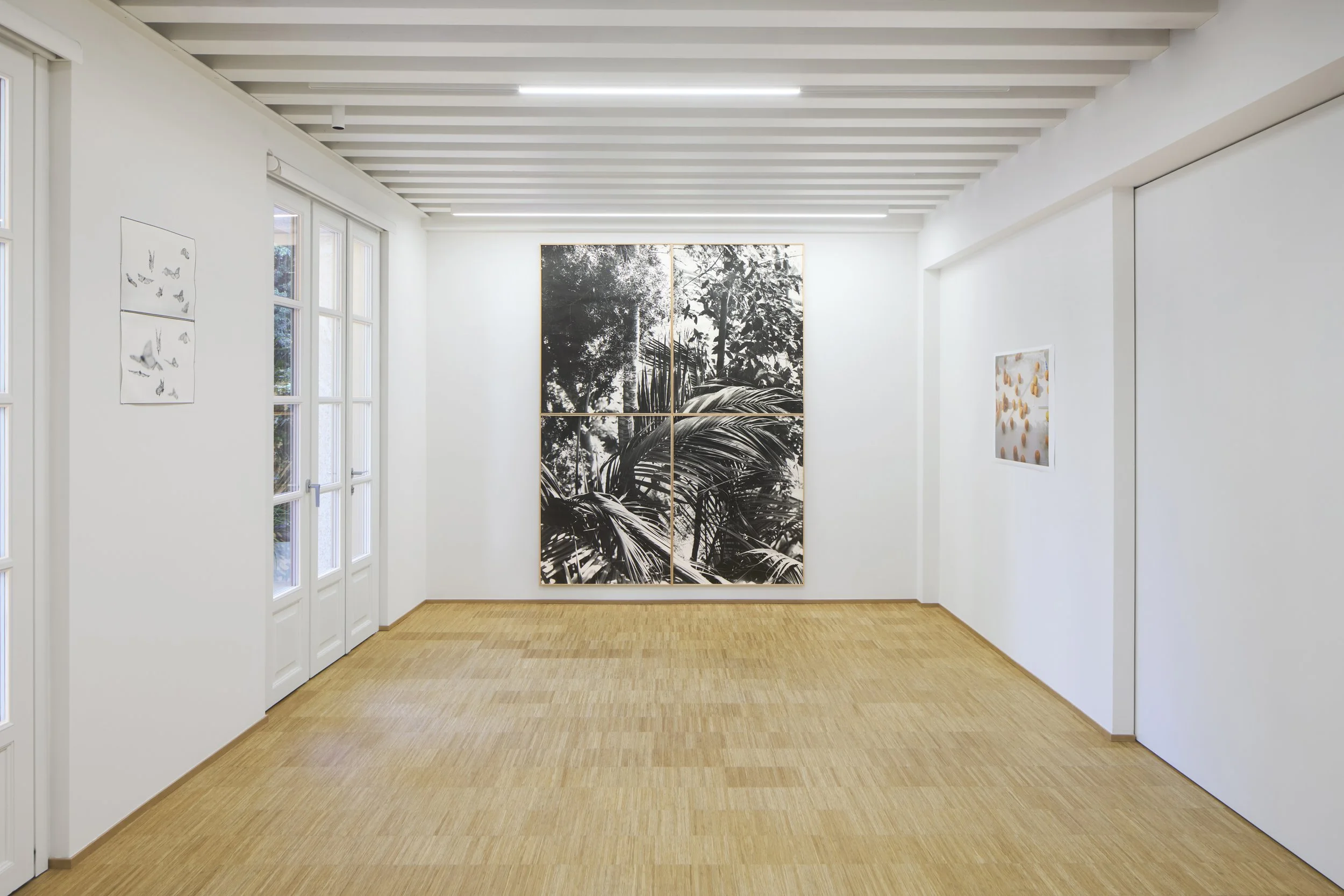   True Reality , Fondazione Elpis, Milan, 2026  Photo: Alto Piano Studio 