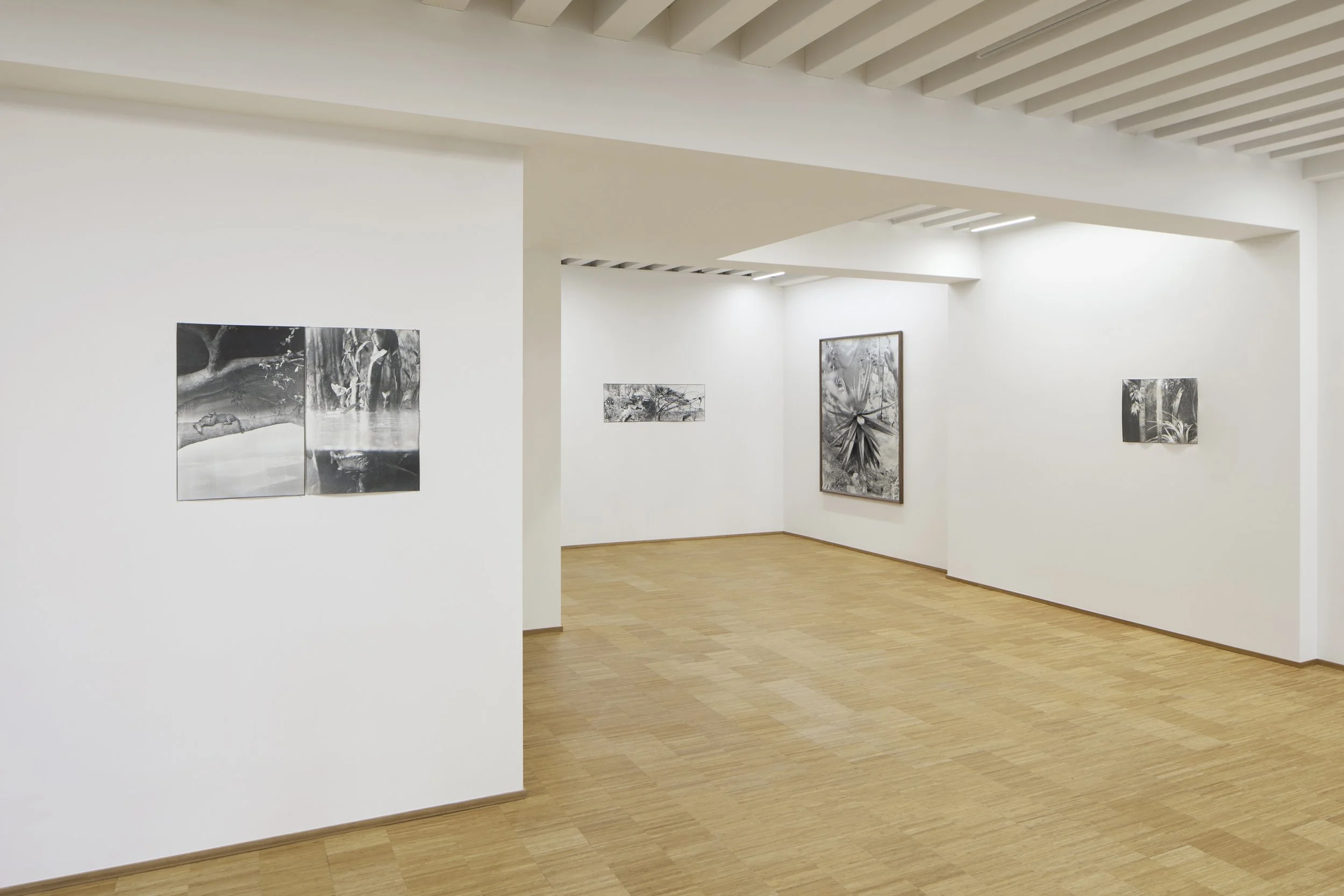   True Reality , Fondazione Elpis, Milan, 2026  Photo: Alto Piano Studio 
