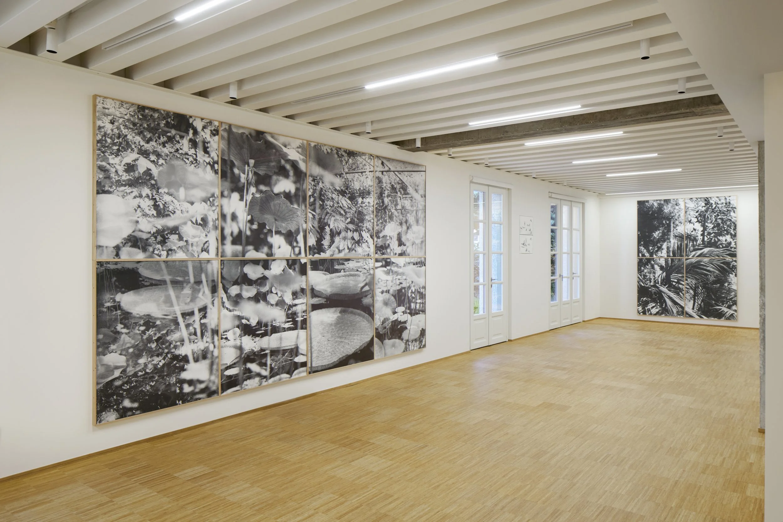   True Reality , Fondazione Elpis, Milan, 2026  Photo: Alto Piano Studio 