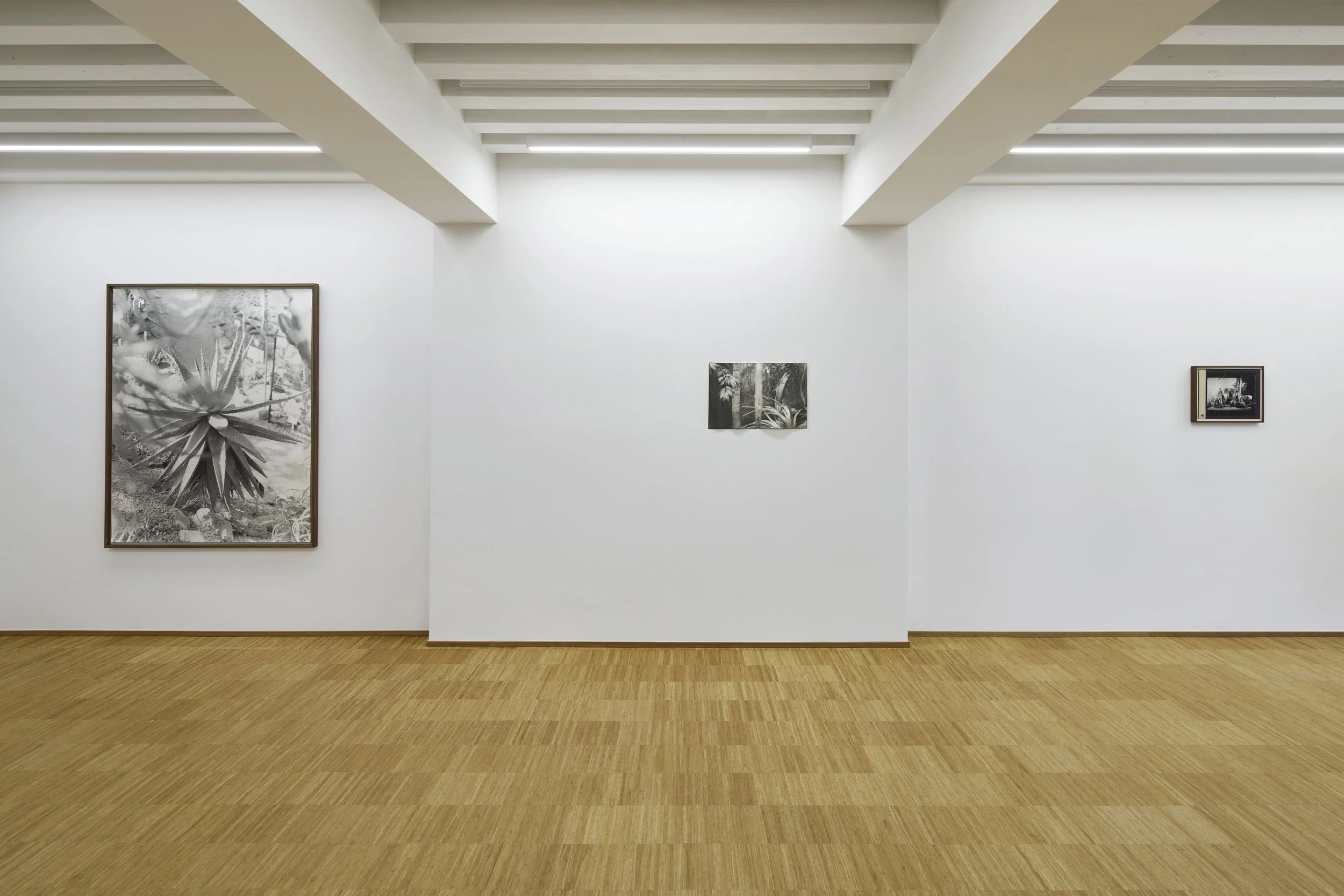   True Reality , Fondazione Elpis, Milan, 2026  (Righthand work by Linda Fregni Nagler)  Photo: Alto Piano Studio 